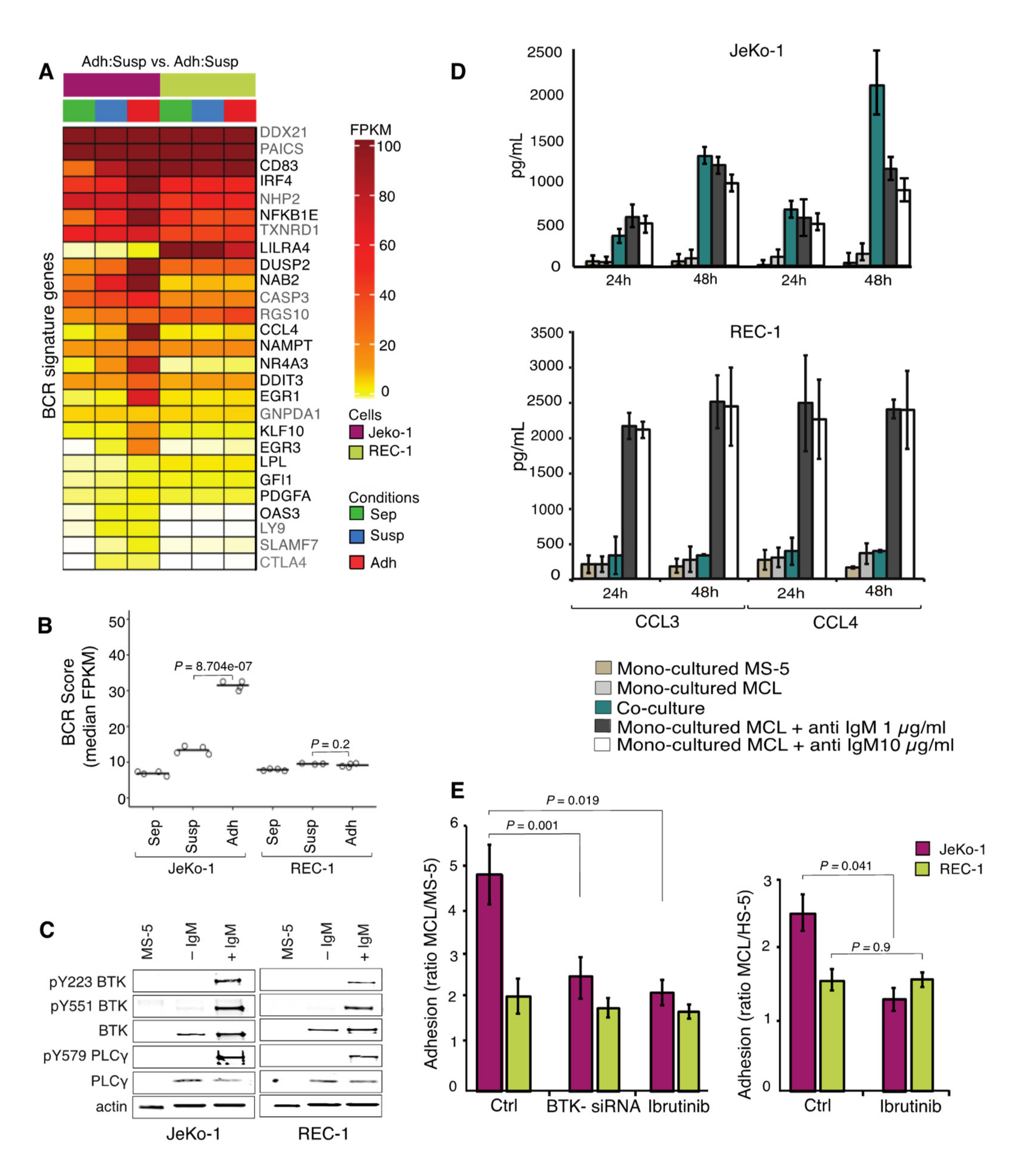 Cancers 12 01143 g004 Cancers 12 01143 g004