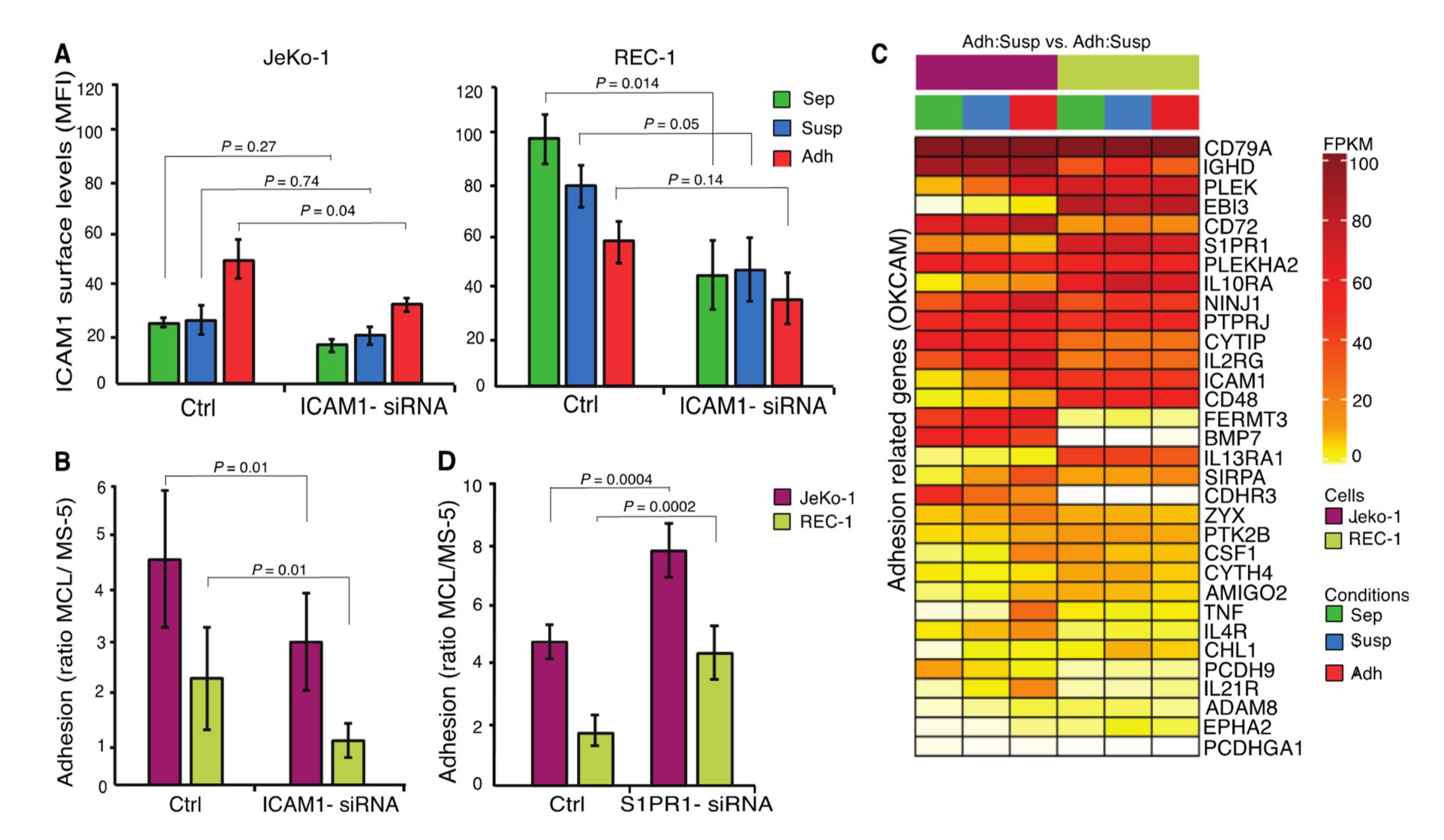 Cancers 12 01143 g006 Cancers 12 01143 g006