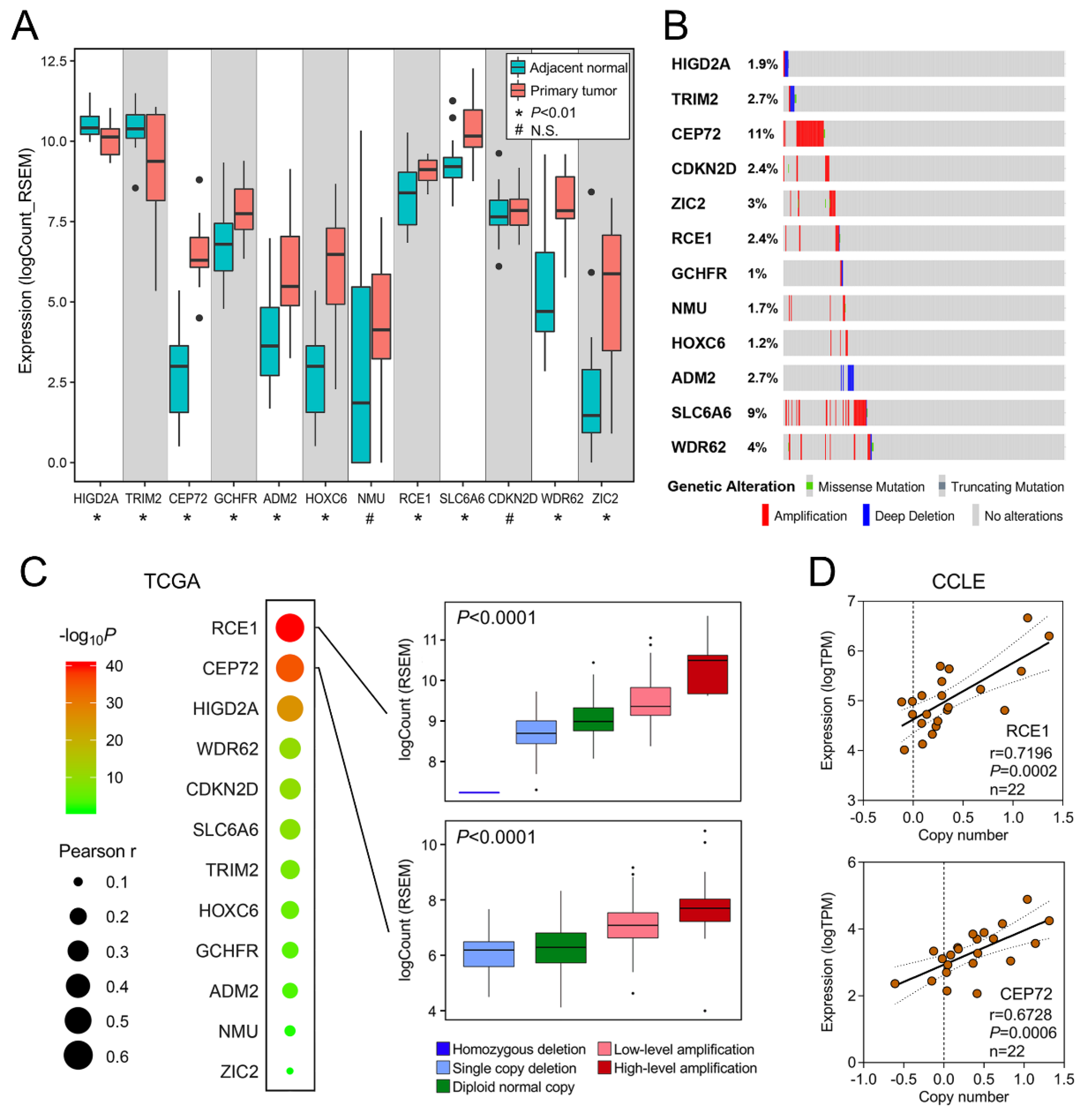 Cancers 12 01146 g005 Cancers 12 01146 g005