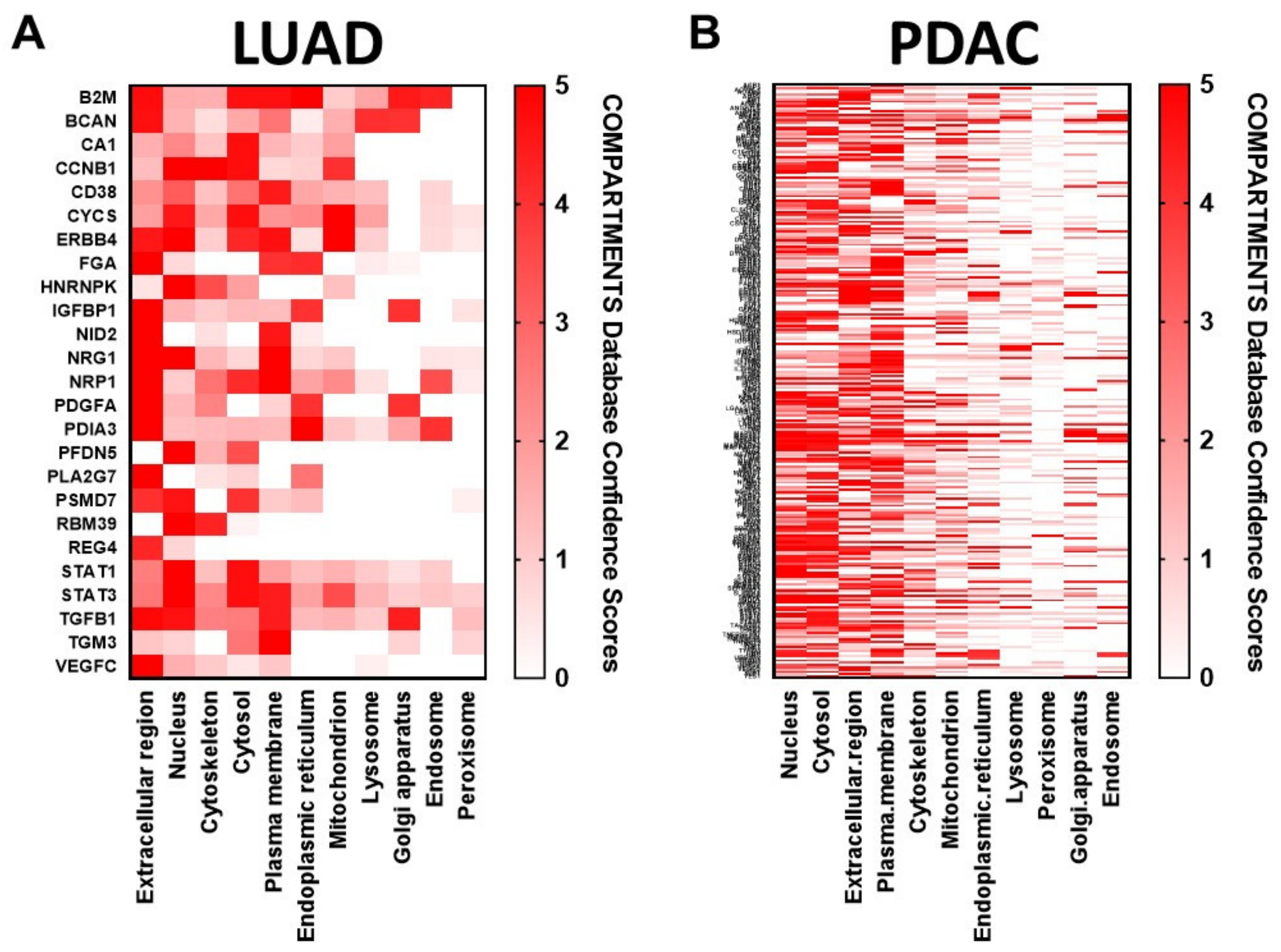 Cancers 12 01147 g004 Cancers 12 01147 g004