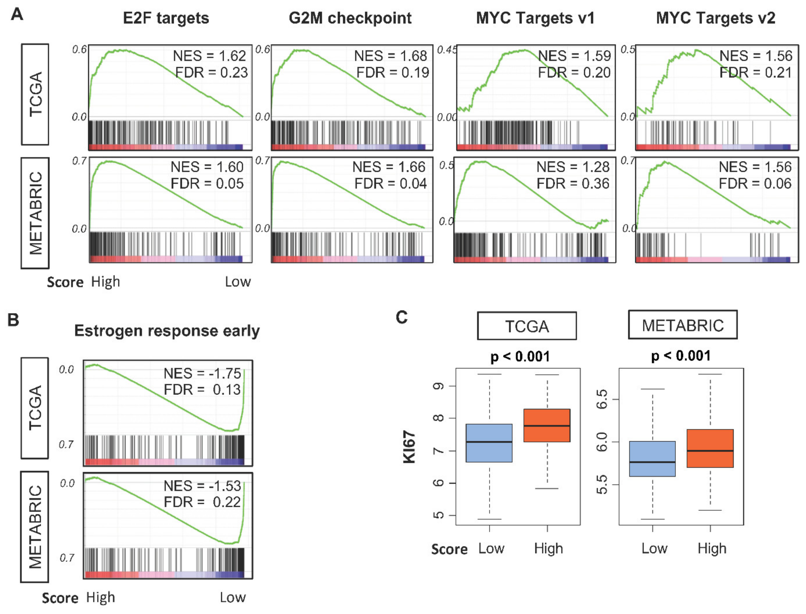 Cancers 12 01148 g003