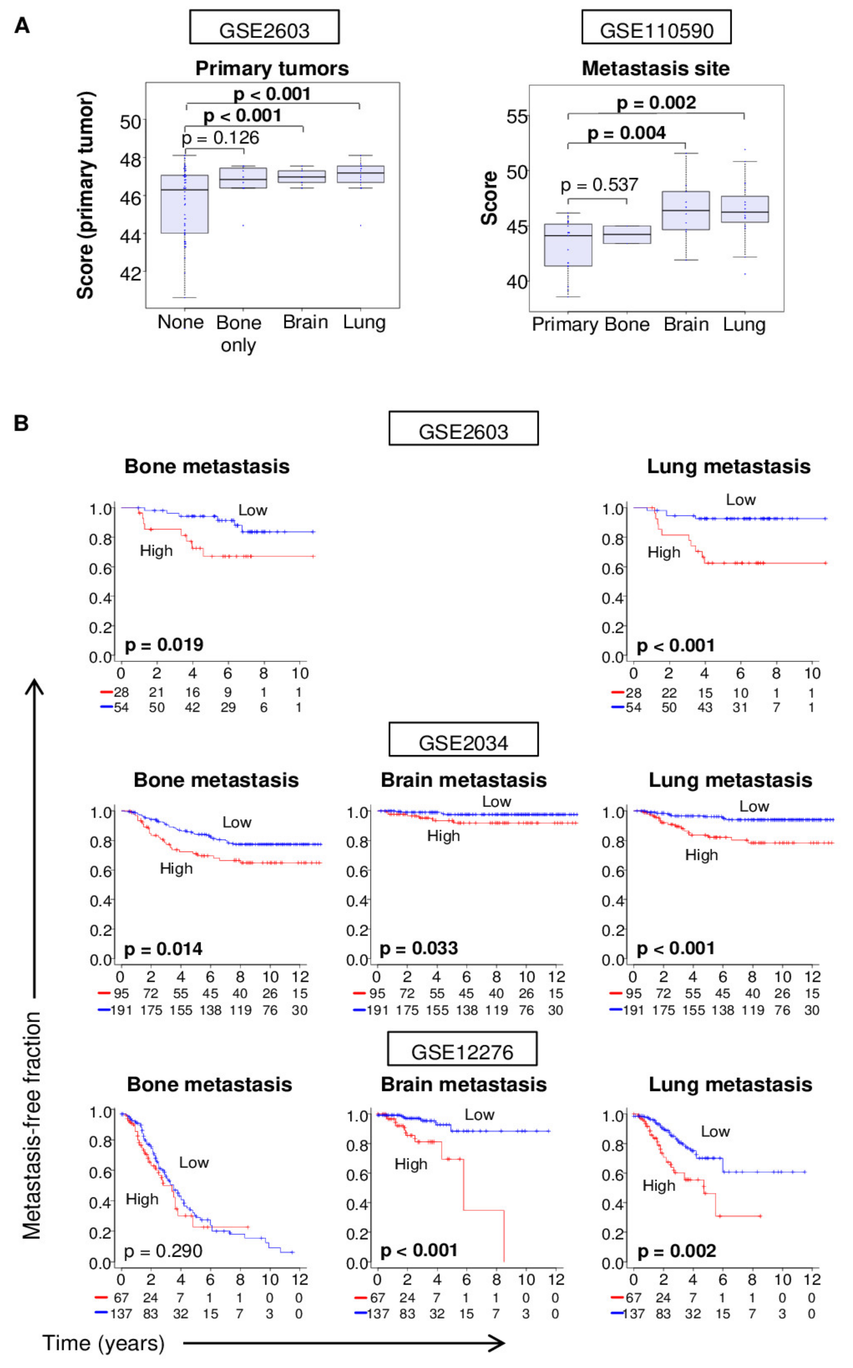 Cancers 12 01148 g004