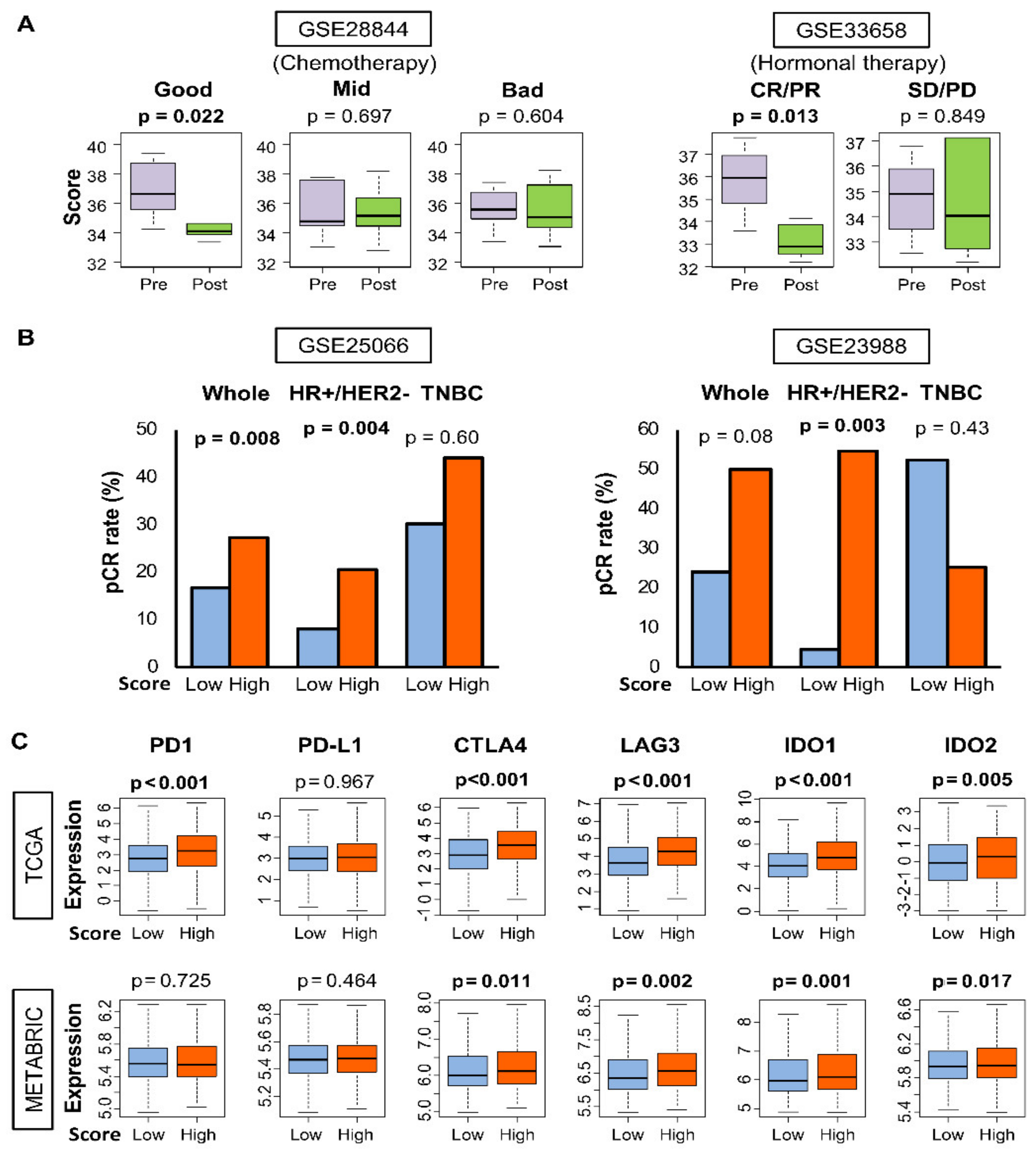 Cancers 12 01148 g005
