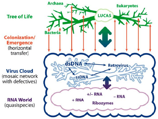 Cancers Free Full Text Mhc Class I Regulation The Origin Perspective Html