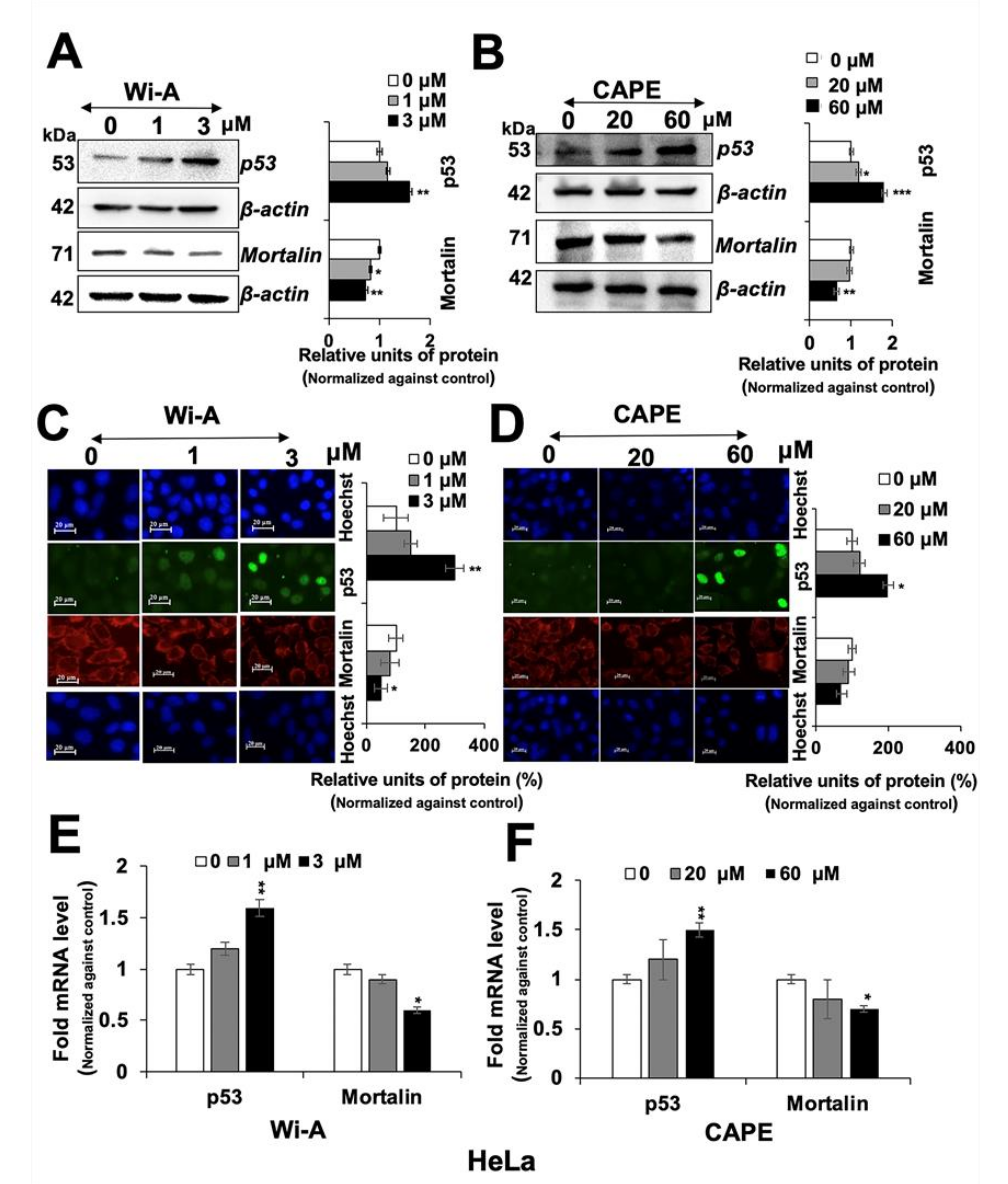 Cancers 12 01160 g002
