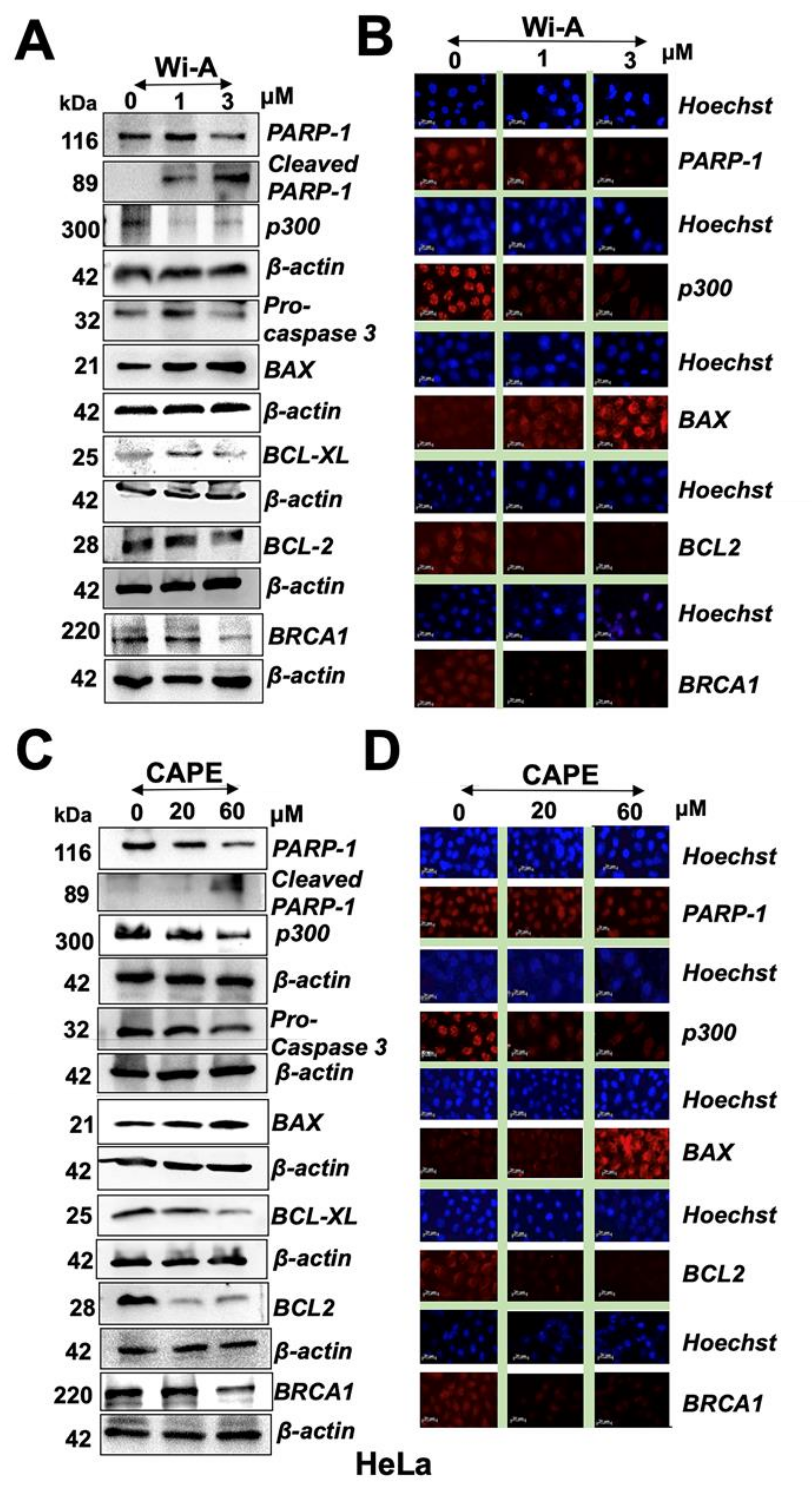 Cancers 12 01160 g003