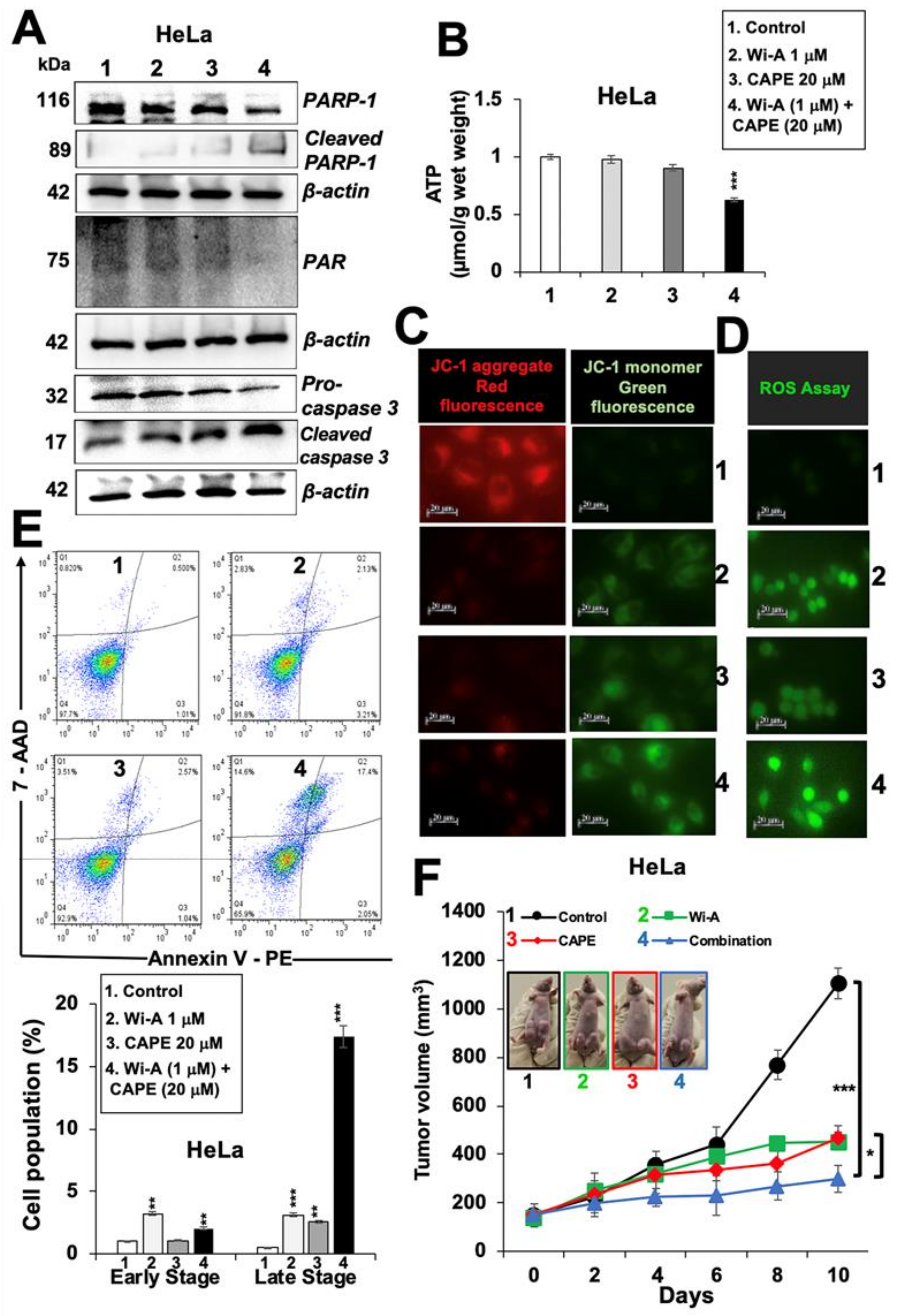 Cancers 12 01160 g005