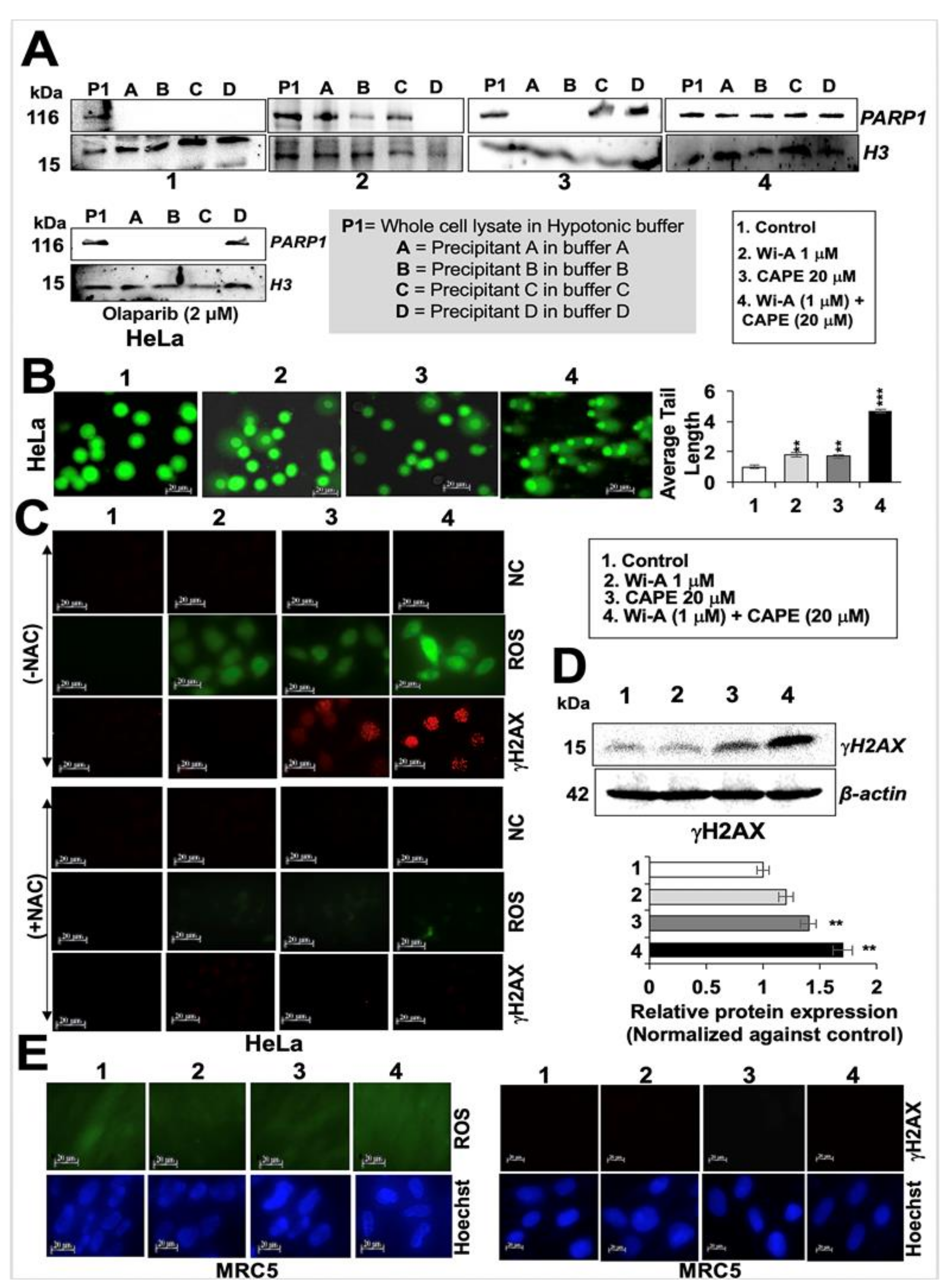 Cancers 12 01160 g006