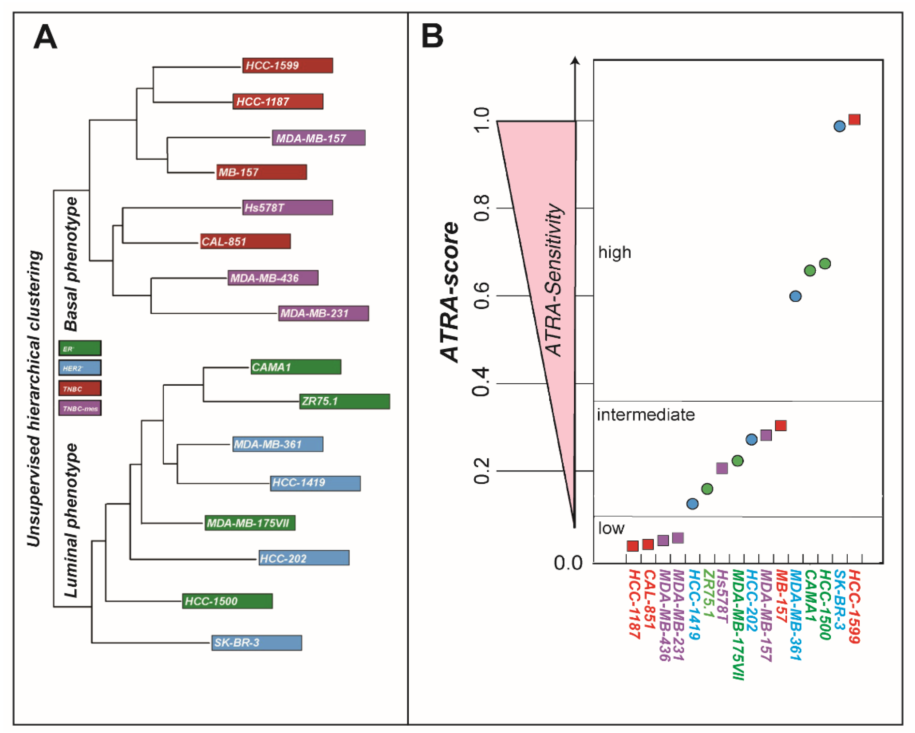 Cancers 12 01169 g001