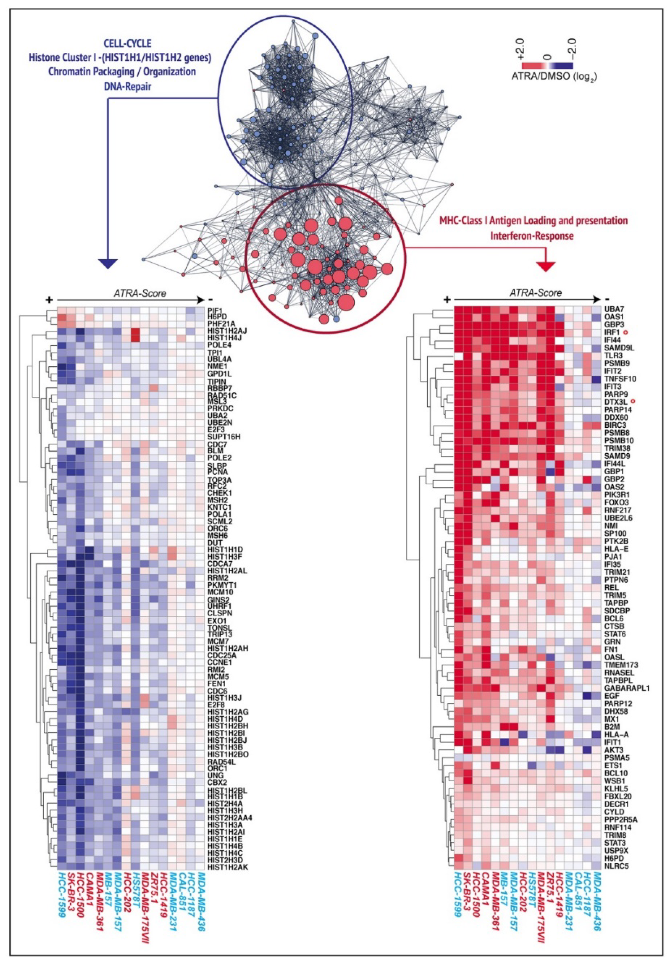 Cancers 12 01169 g002