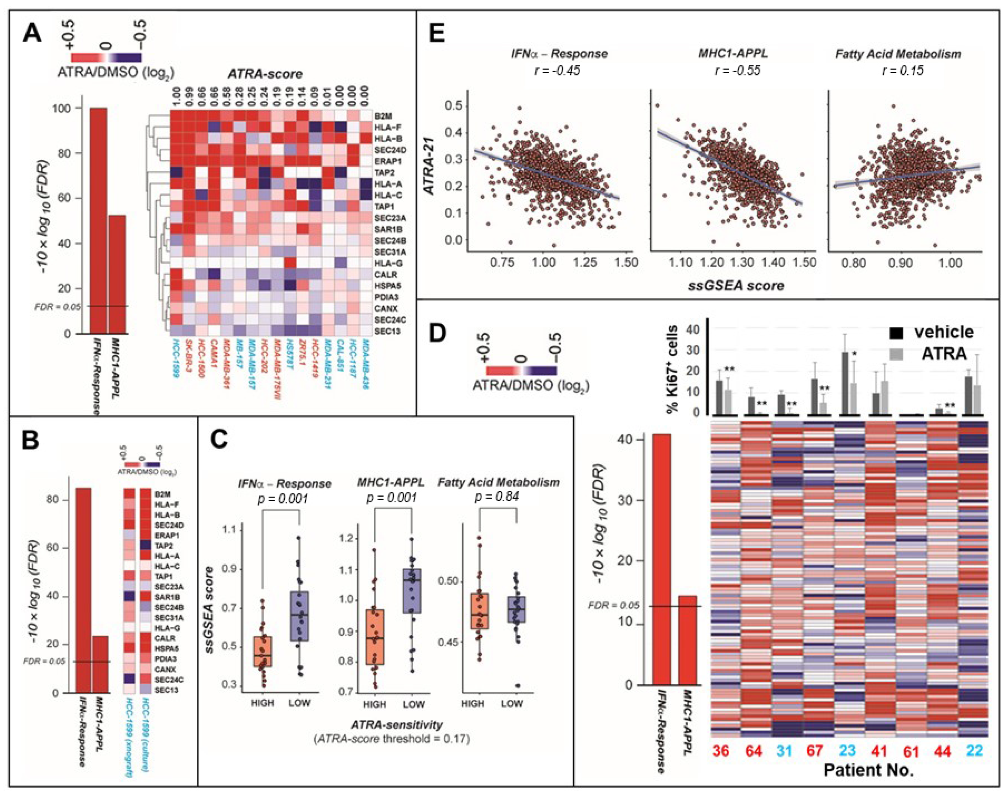 Cancers 12 01169 g004