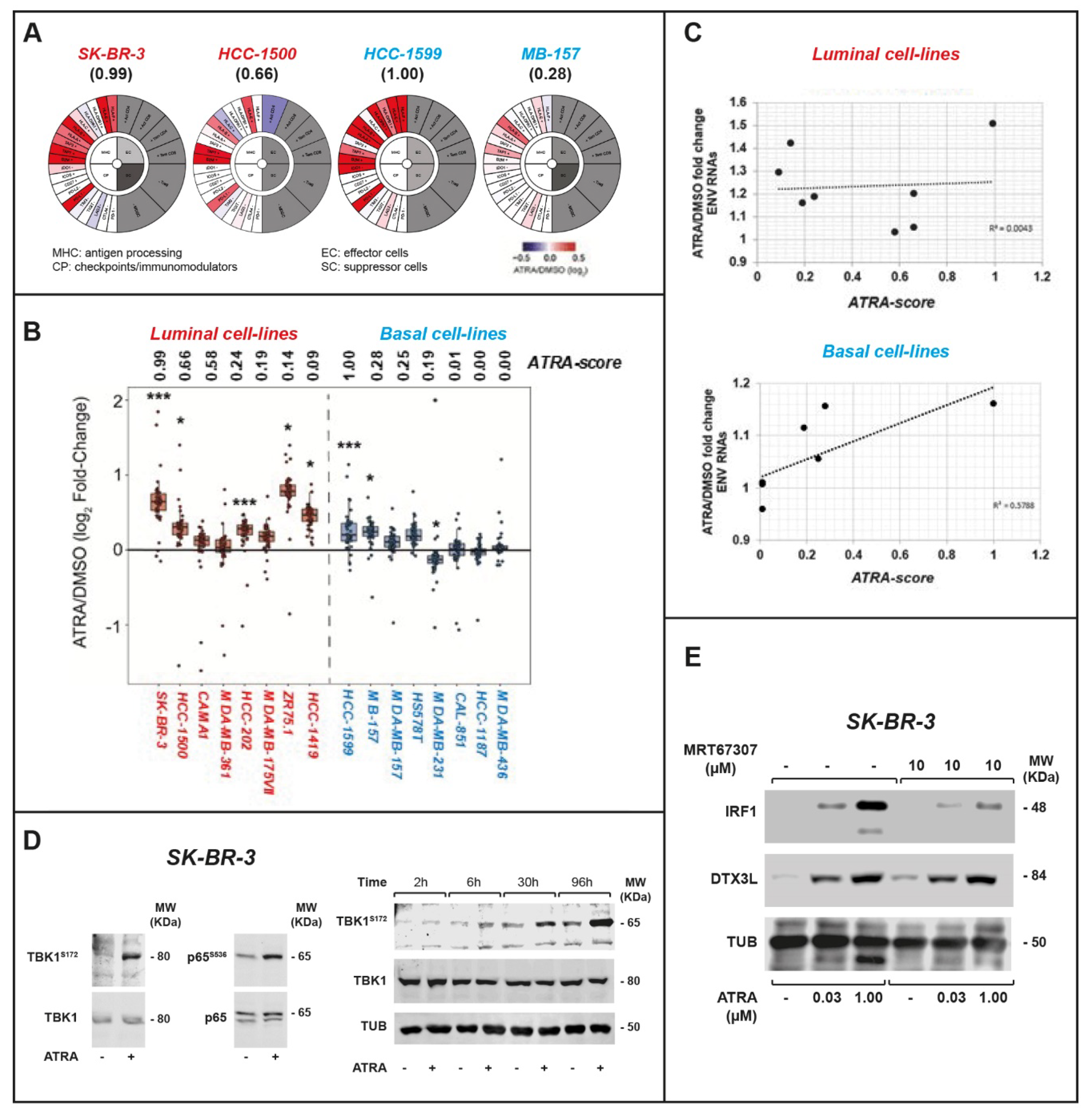 Cancers 12 01169 g005