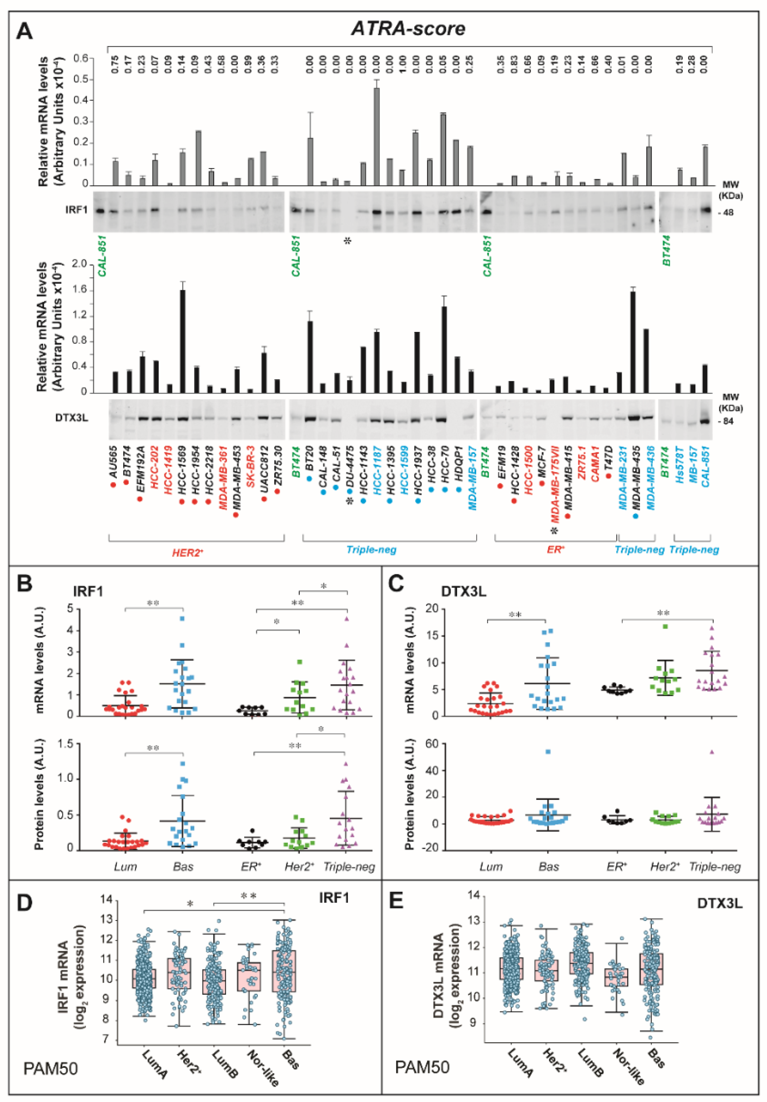 Cancers 12 01169 g006