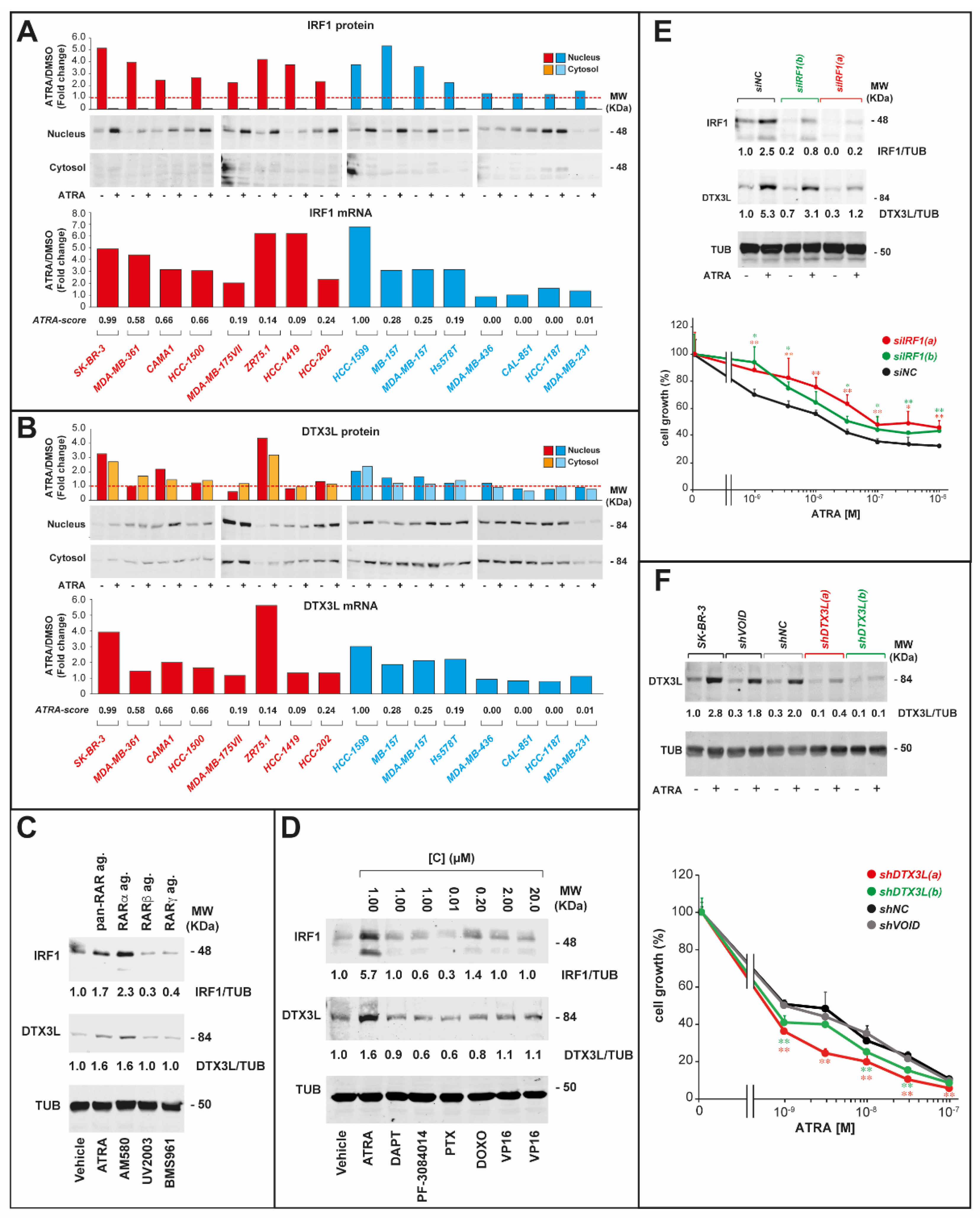 Cancers 12 01169 g007