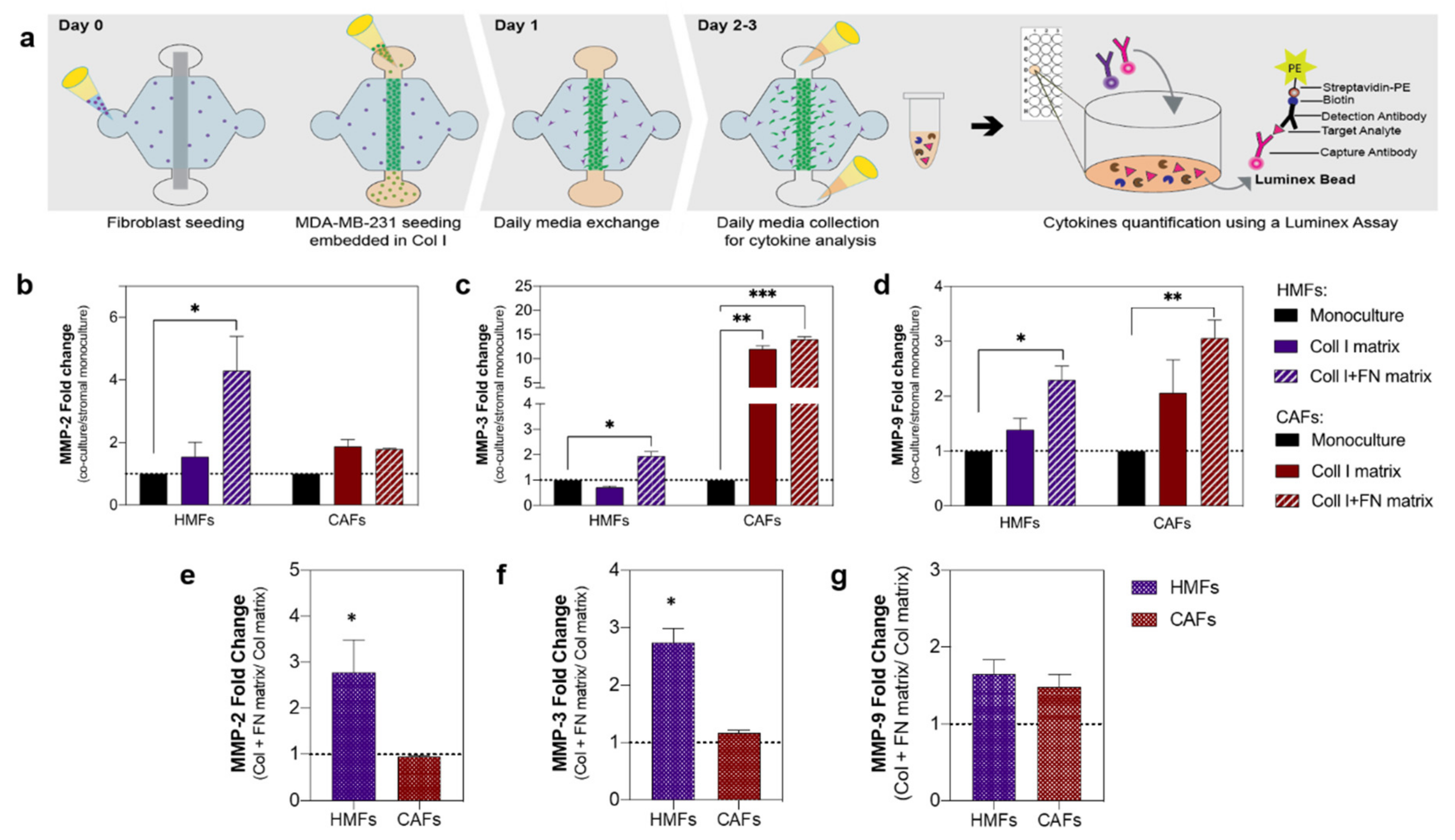 Cancers 12 01173 g003 Cancers 12 01173 g003