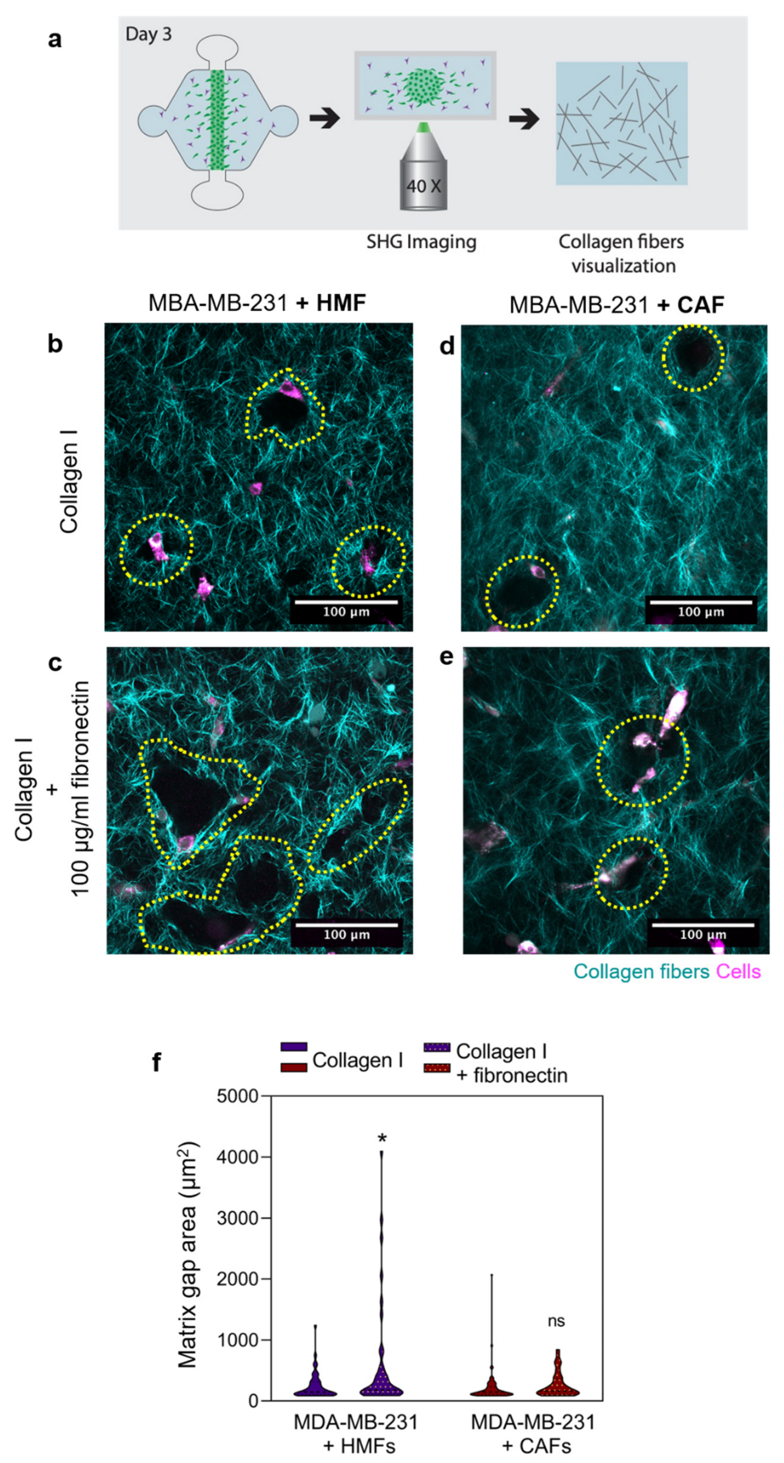 Cancers 12 01173 g004 Cancers 12 01173 g004
