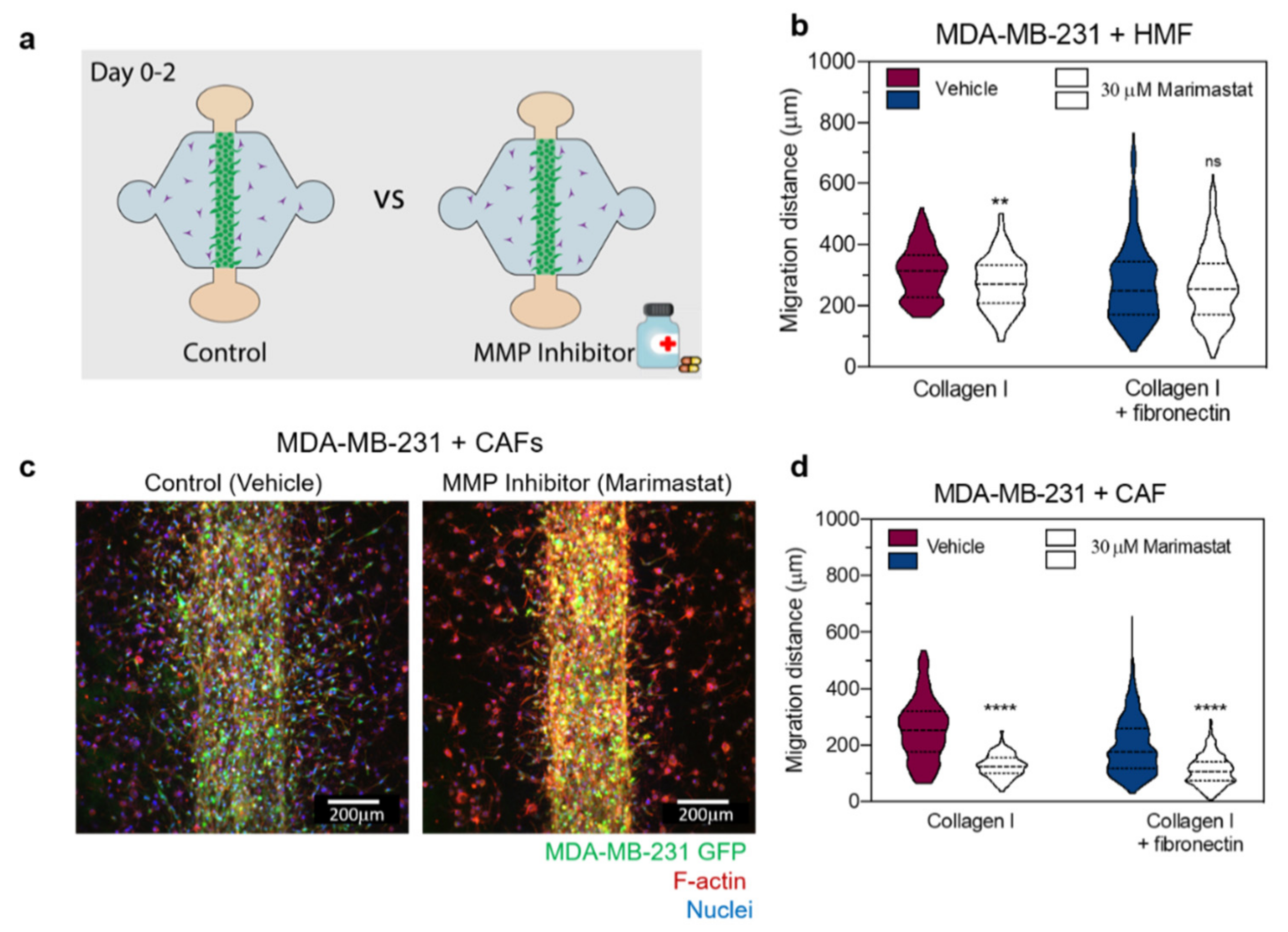 Cancers 12 01173 g005 Cancers 12 01173 g005