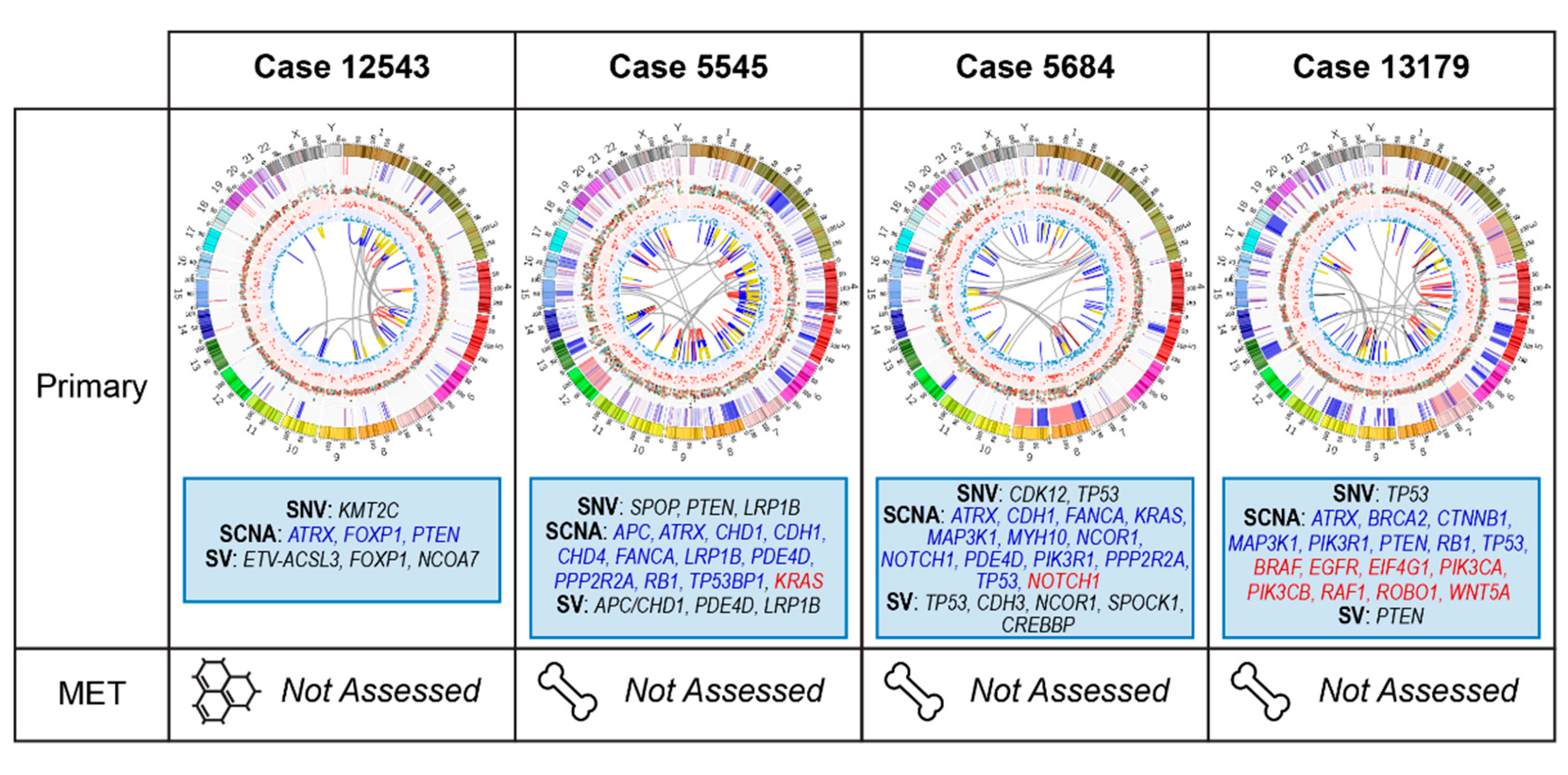 Cancers 12 01178 g005 Cancers 12 01178 g005