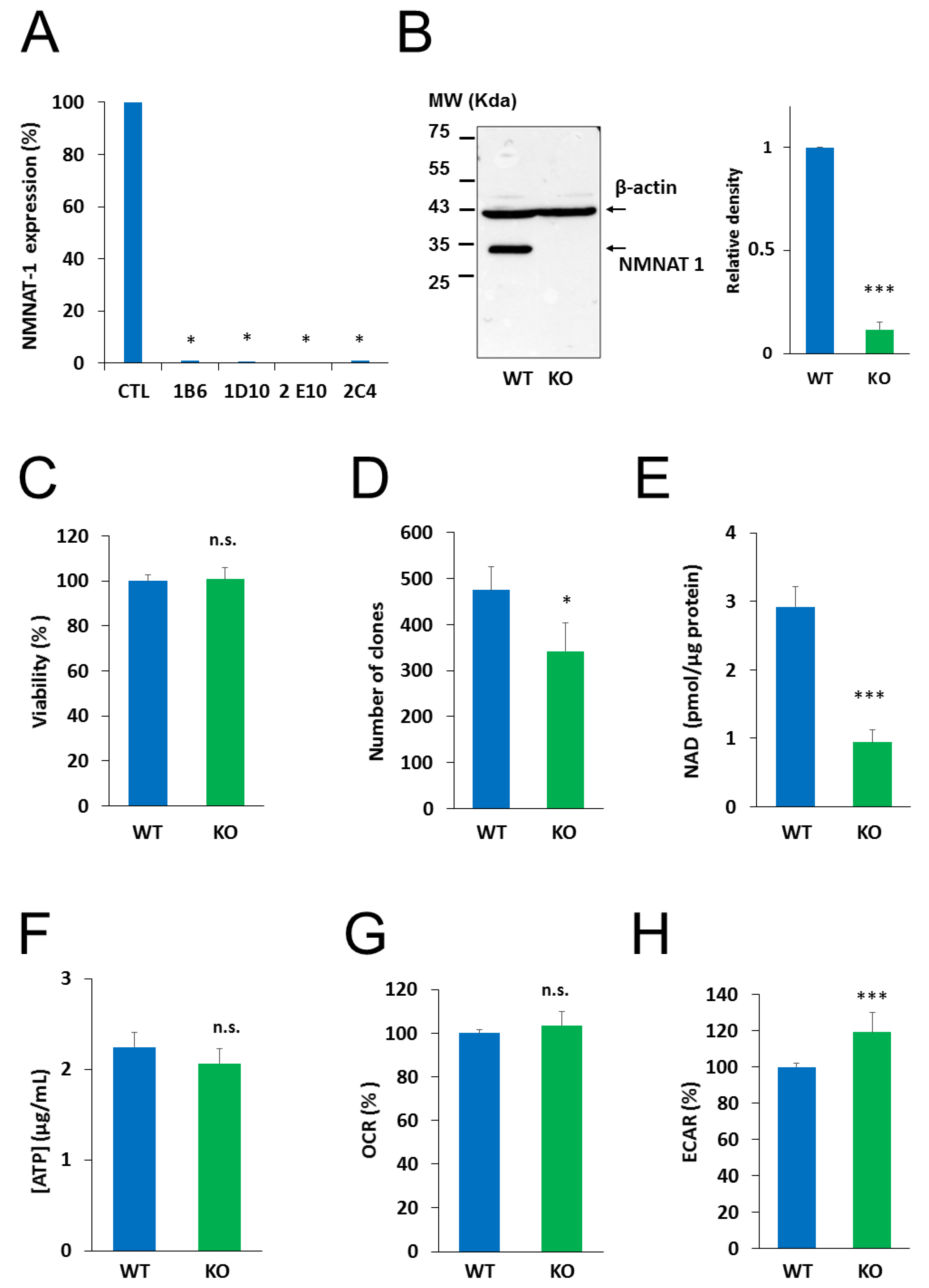 Cancers 12 01180 g002 Cancers 12 01180 g002