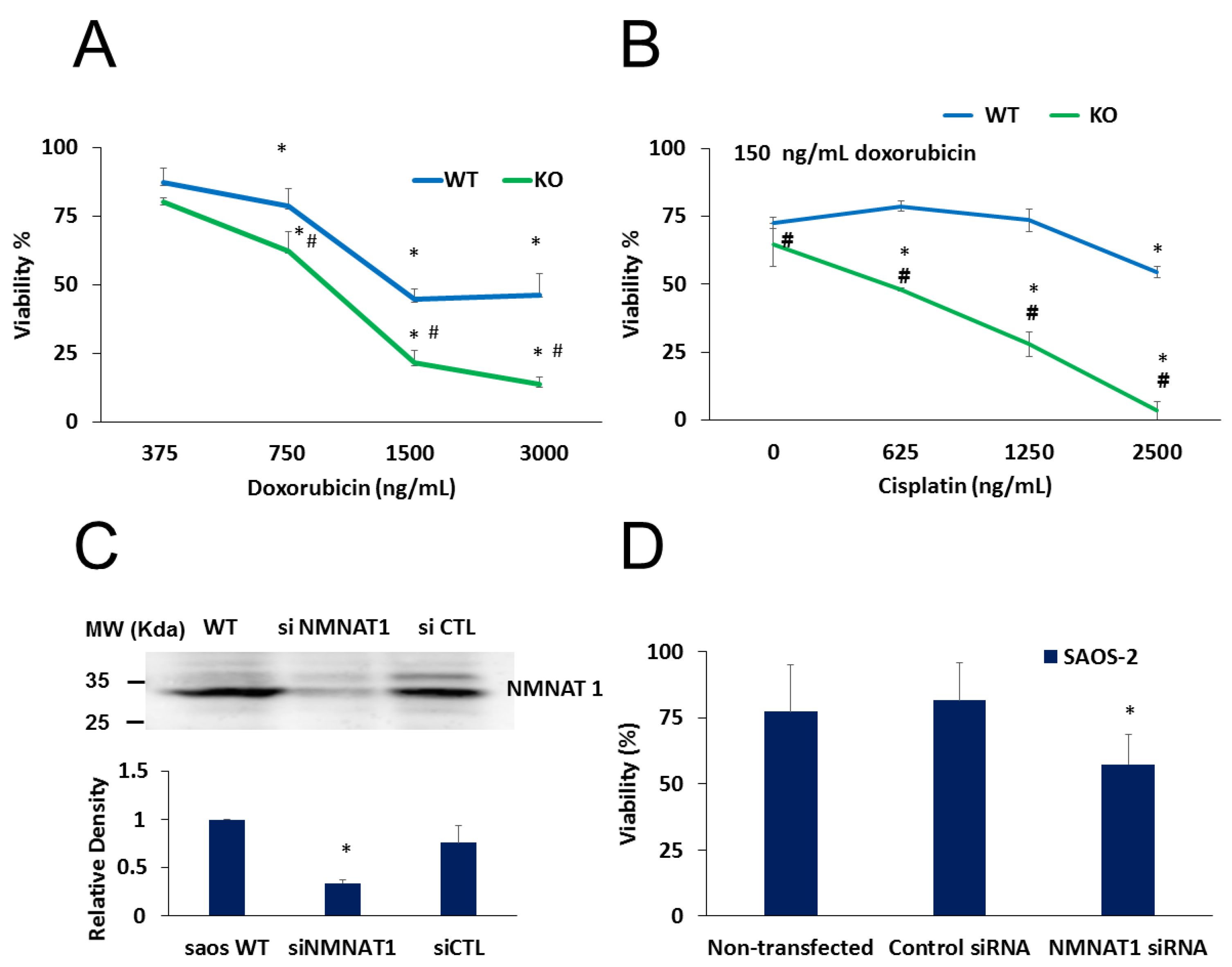 Cancers 12 01180 g007 Cancers 12 01180 g007