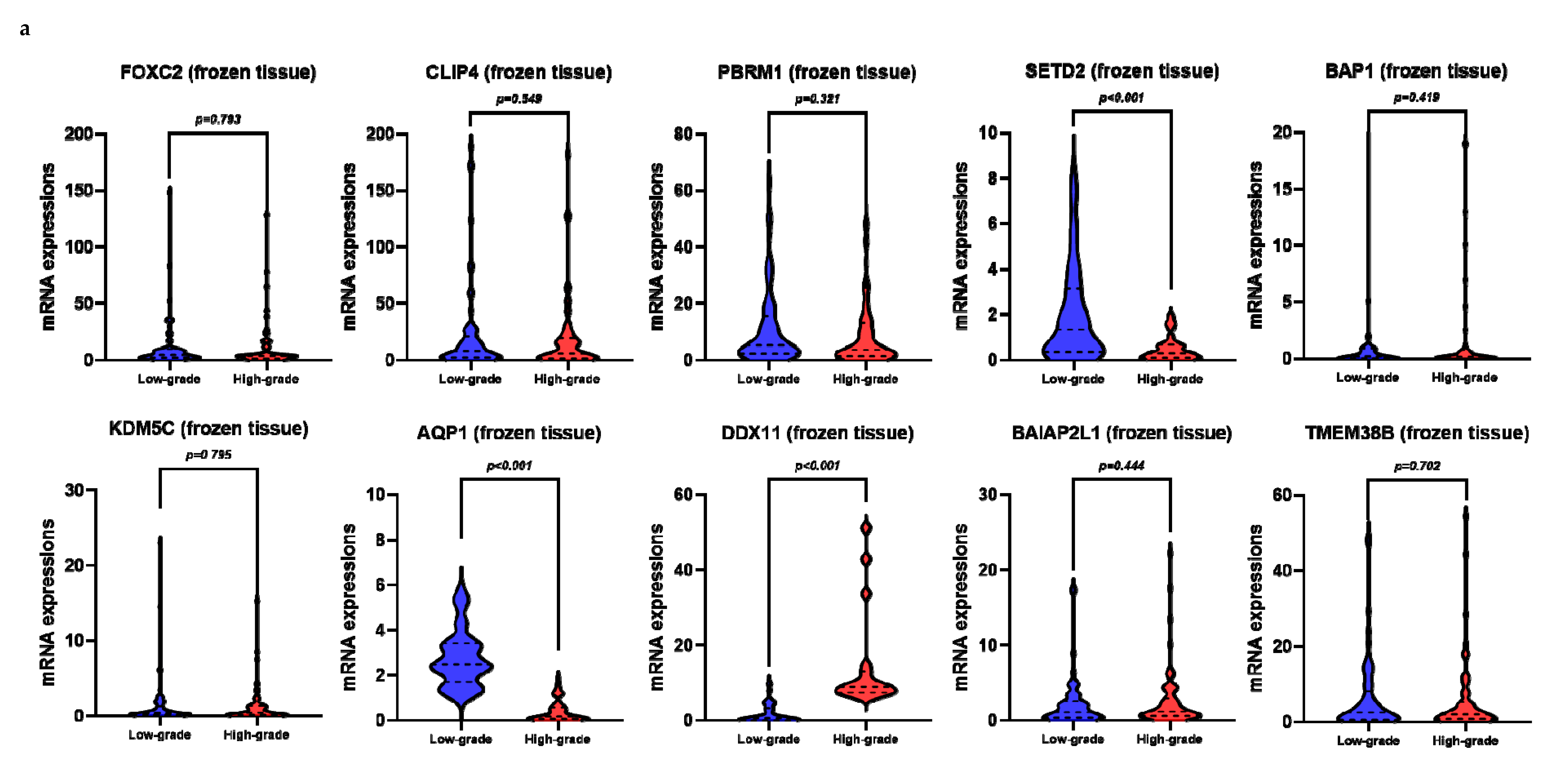Cancers 12 01182 g002a