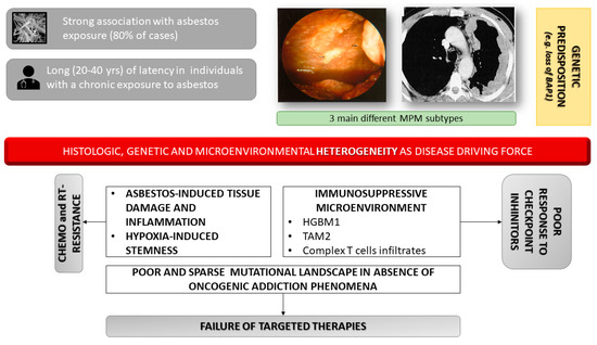 pleural mesothelioma histology