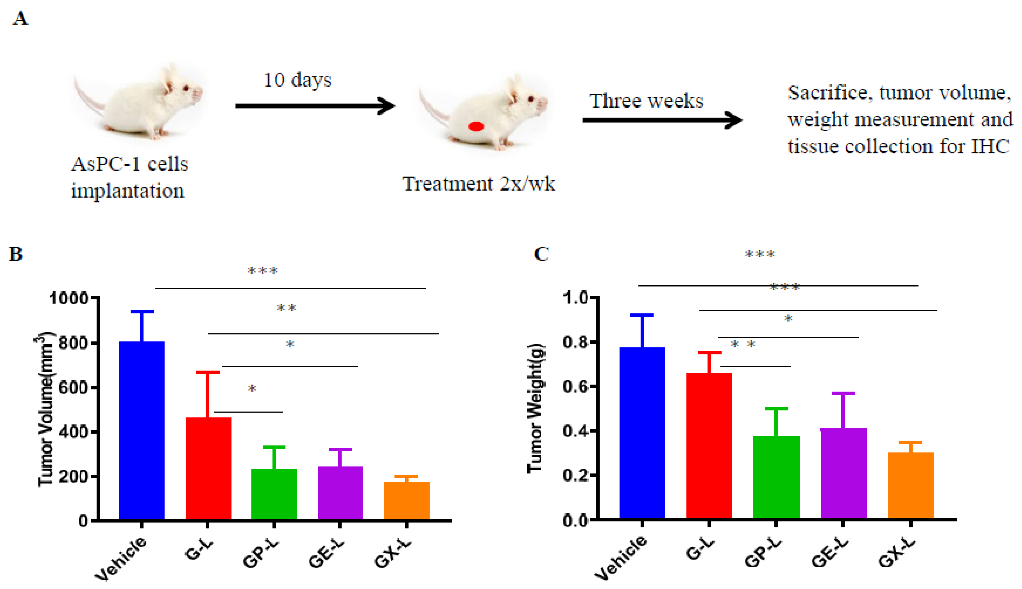 Cancers 12 01189 g005
