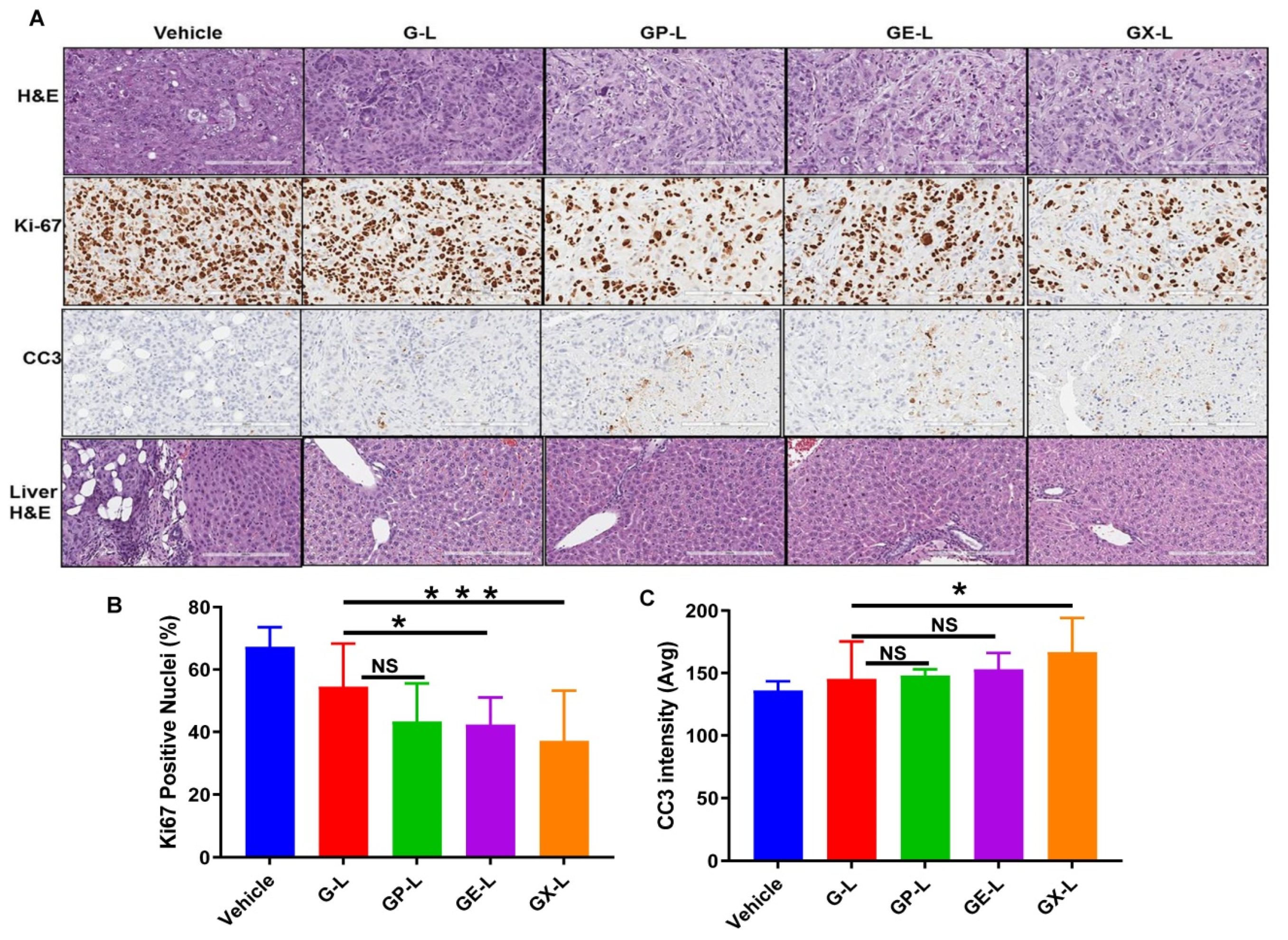 Cancers 12 01189 g007