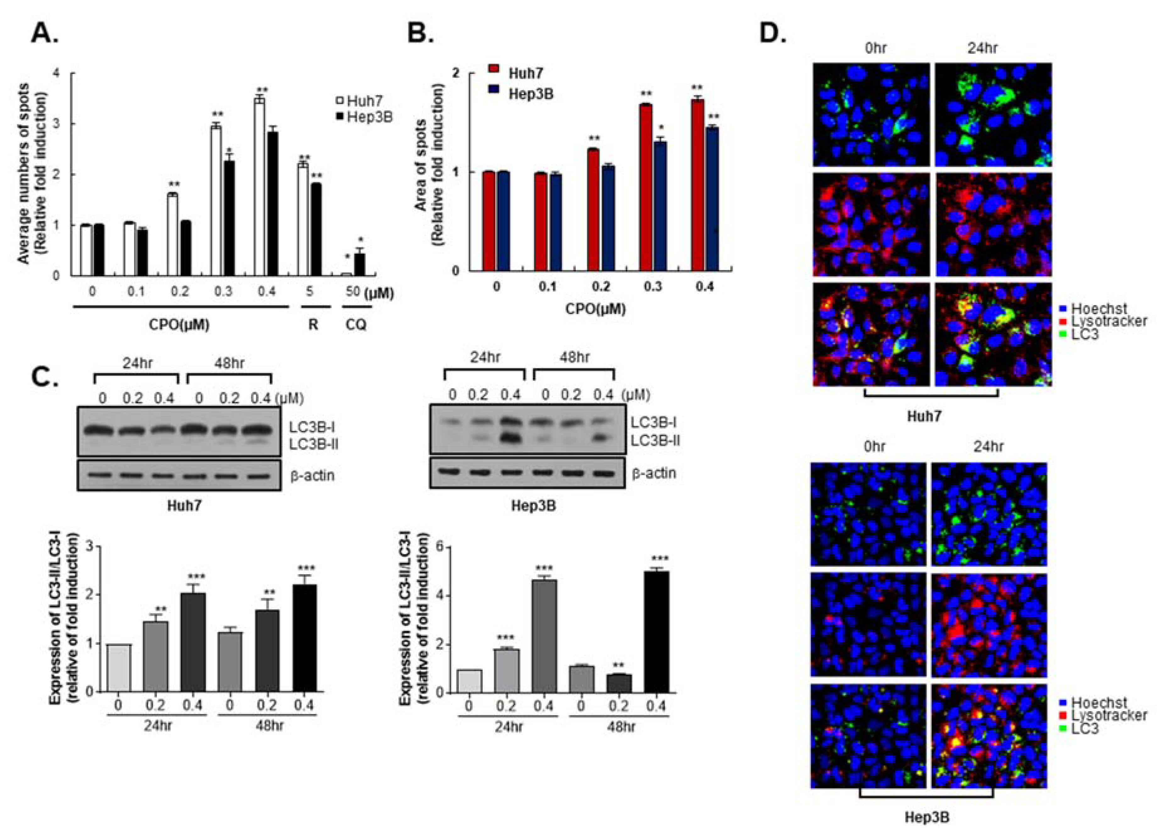Cancers 12 01193 g003