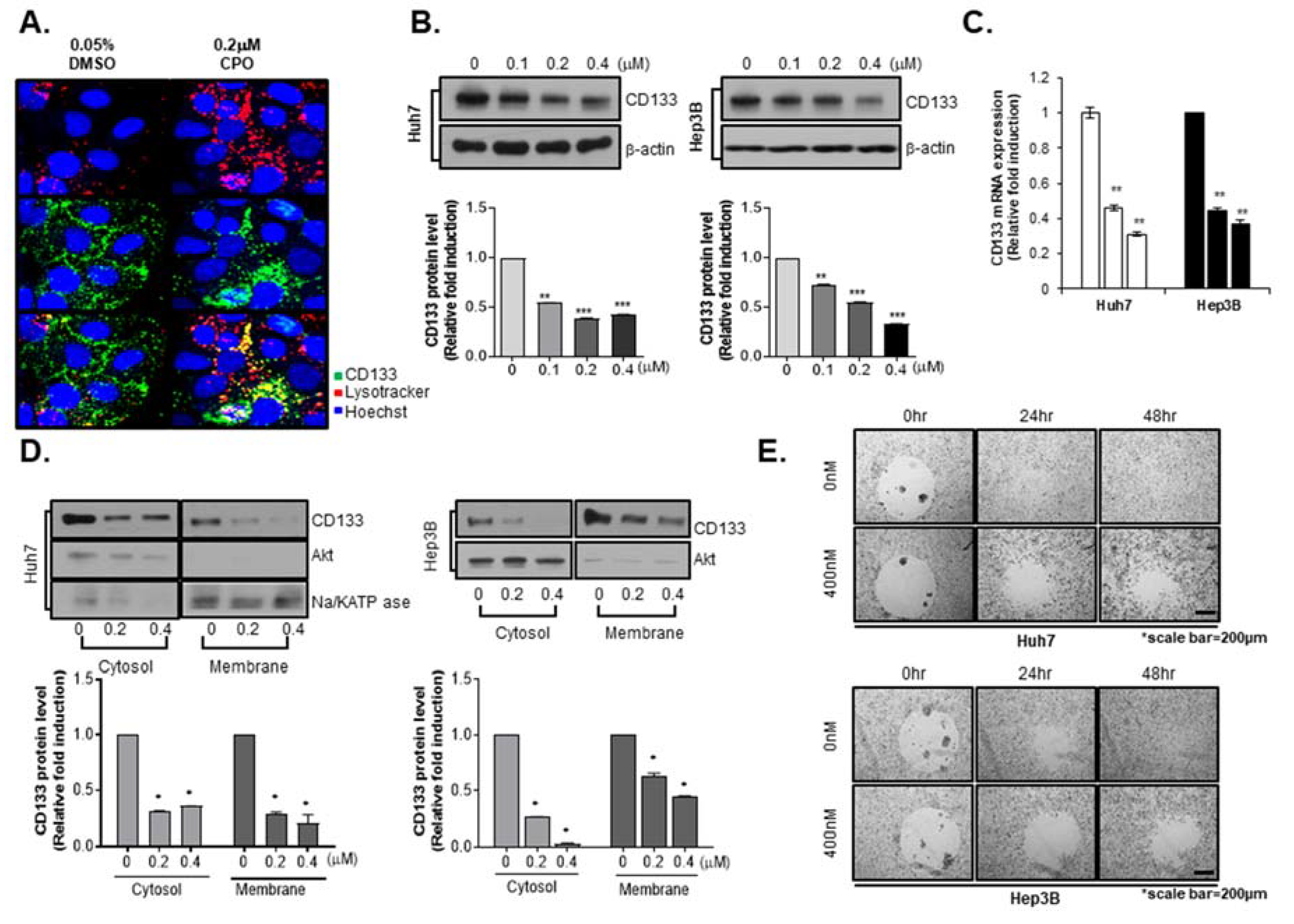 Cancers 12 01193 g004