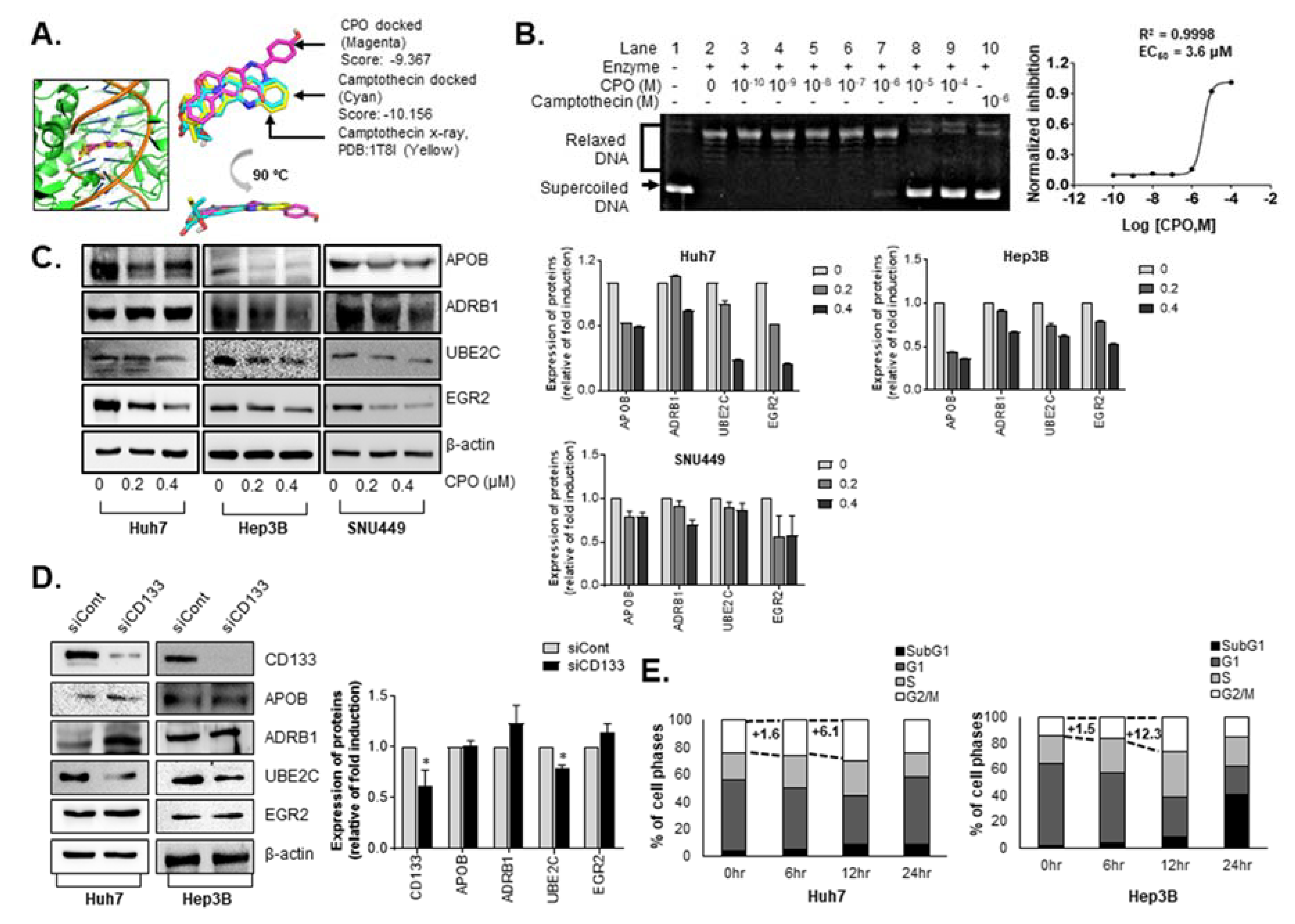 Cancers 12 01193 g006