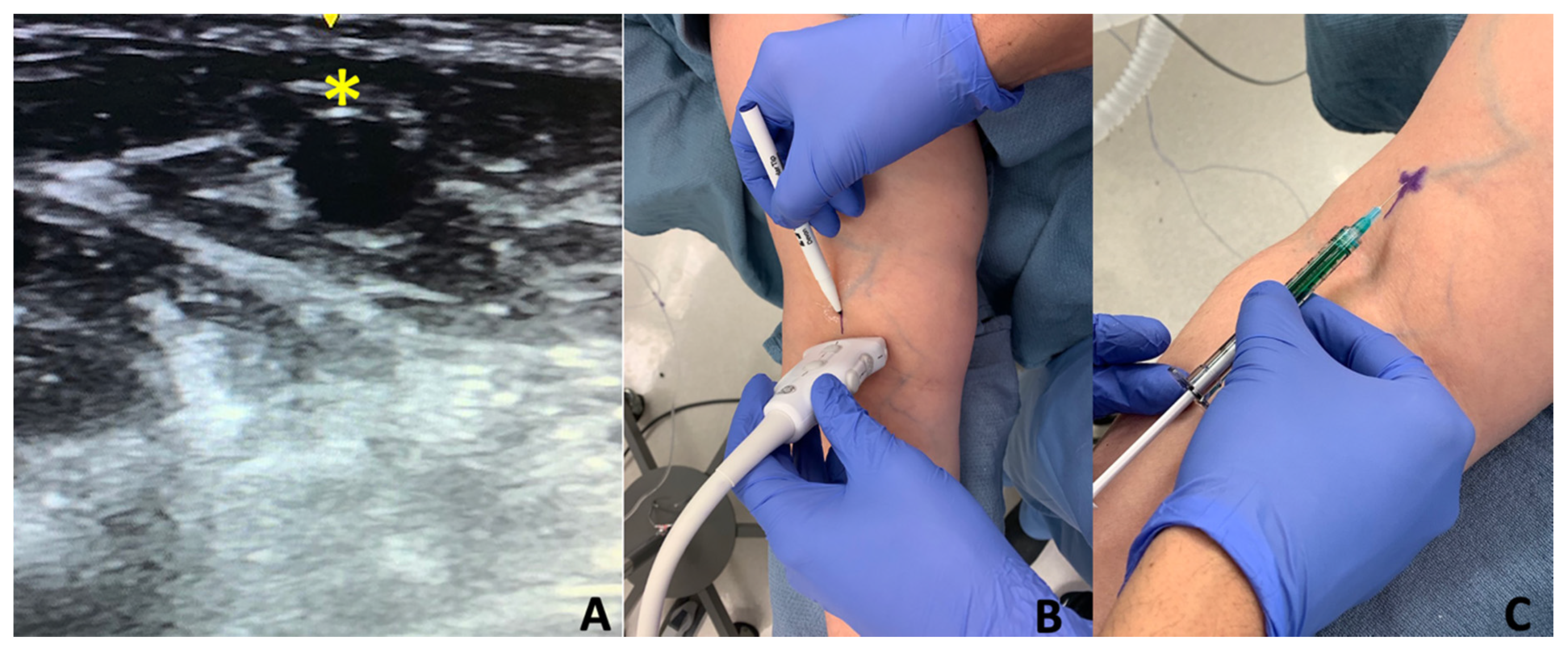 Cancers 12 01195 g003 Cancers 12 01195 g003