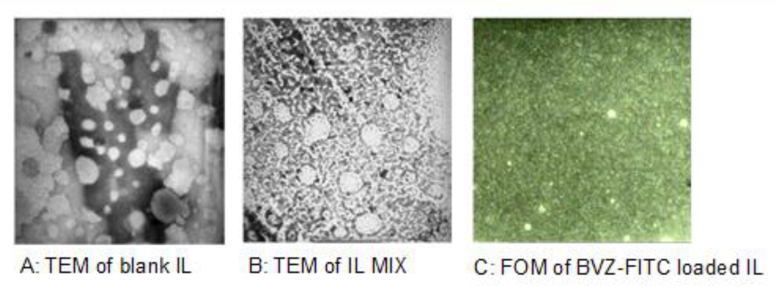 Cancers 12 01198 g001