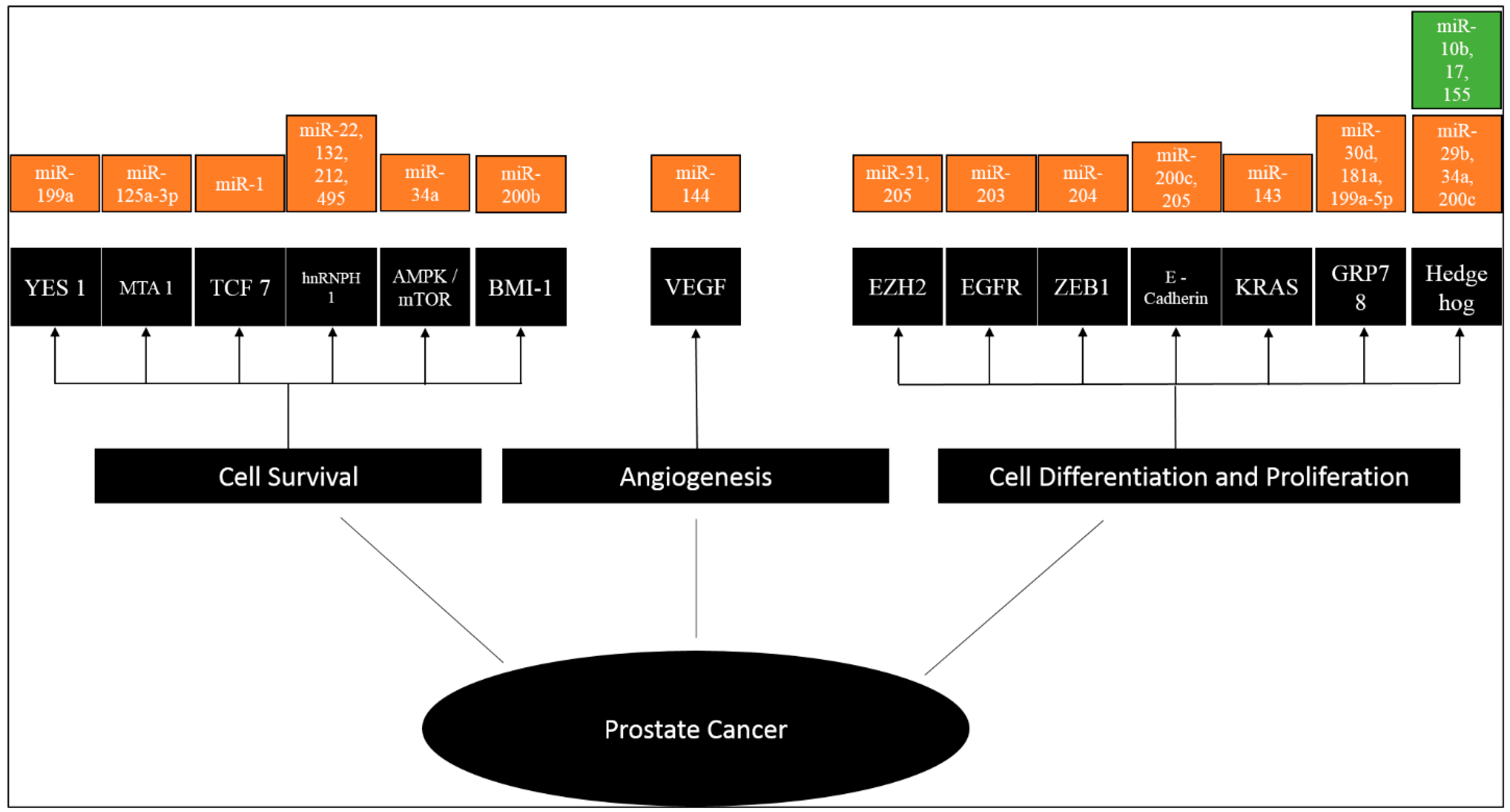 Cancers 12 01199 g003 Cancers 12 01199 g003