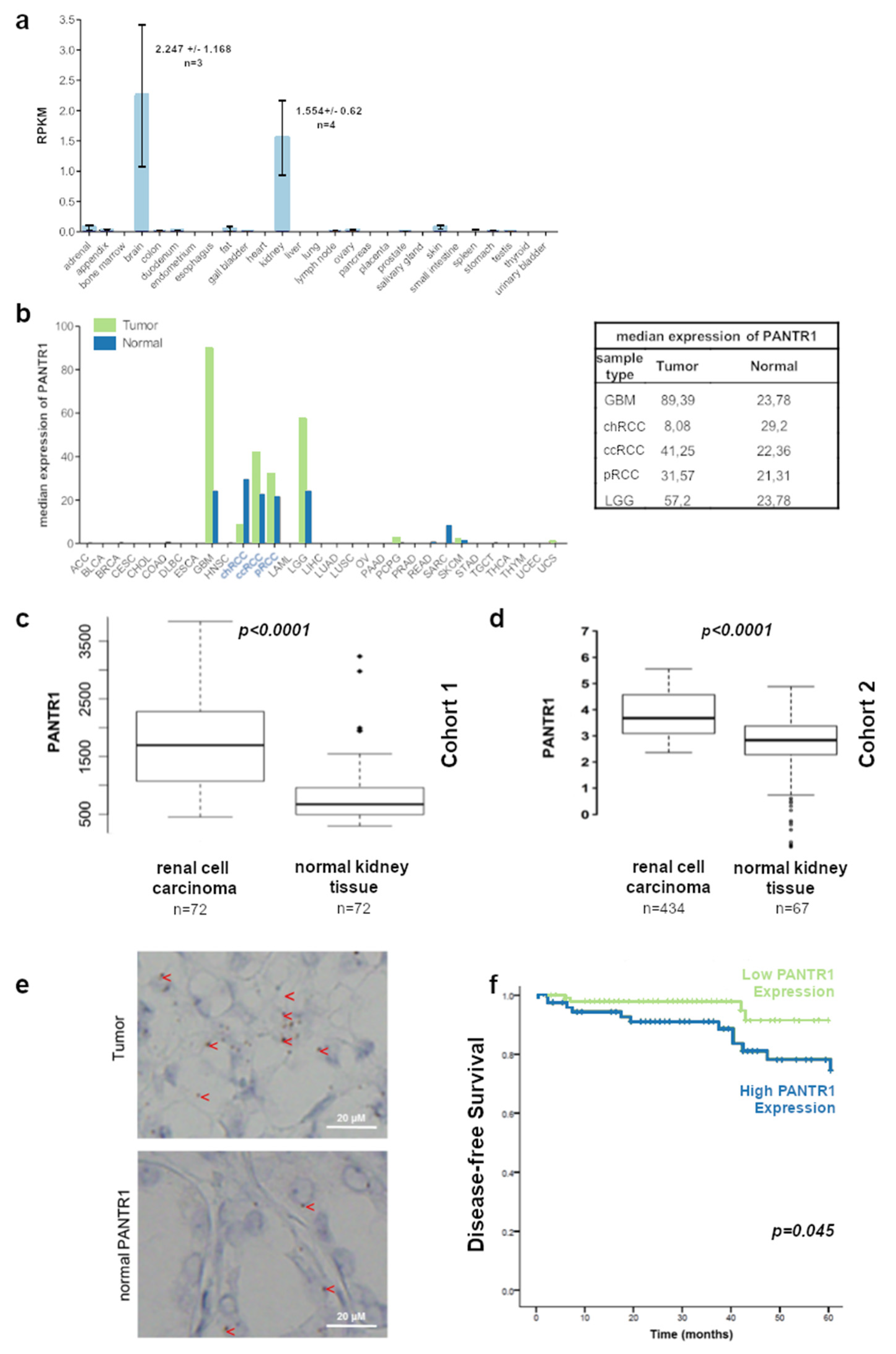 Cancers 12 01200 g001