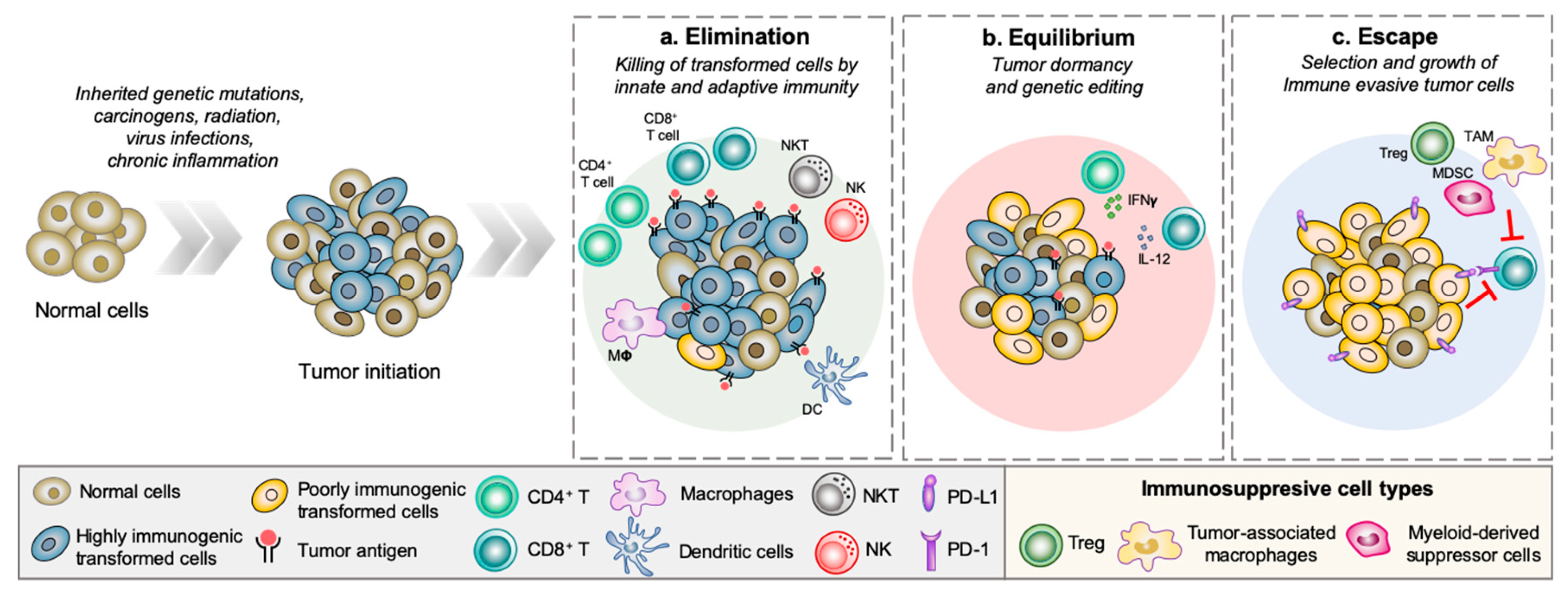 Cancers 12 01202 g001