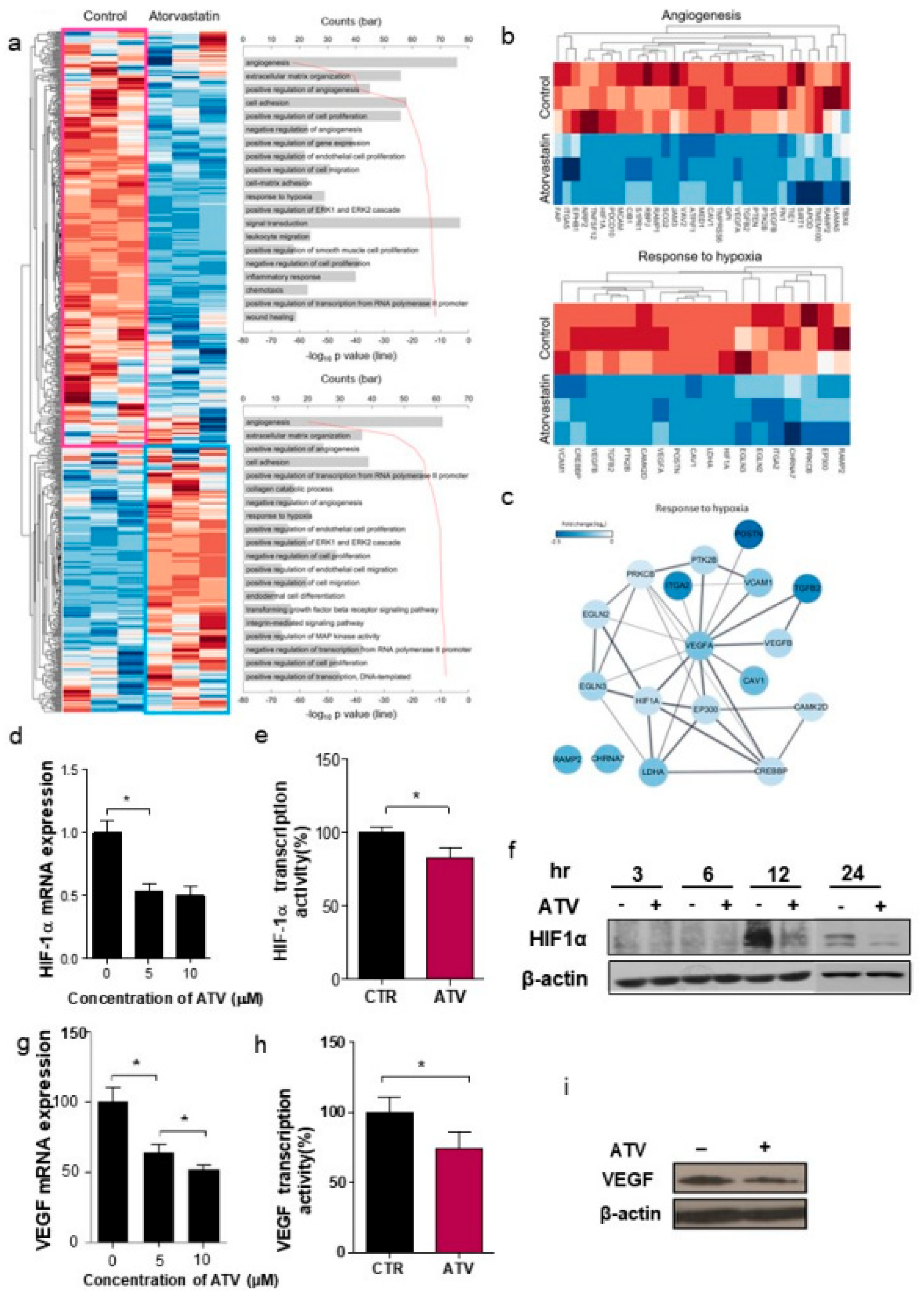 Cancers 12 01203 g003