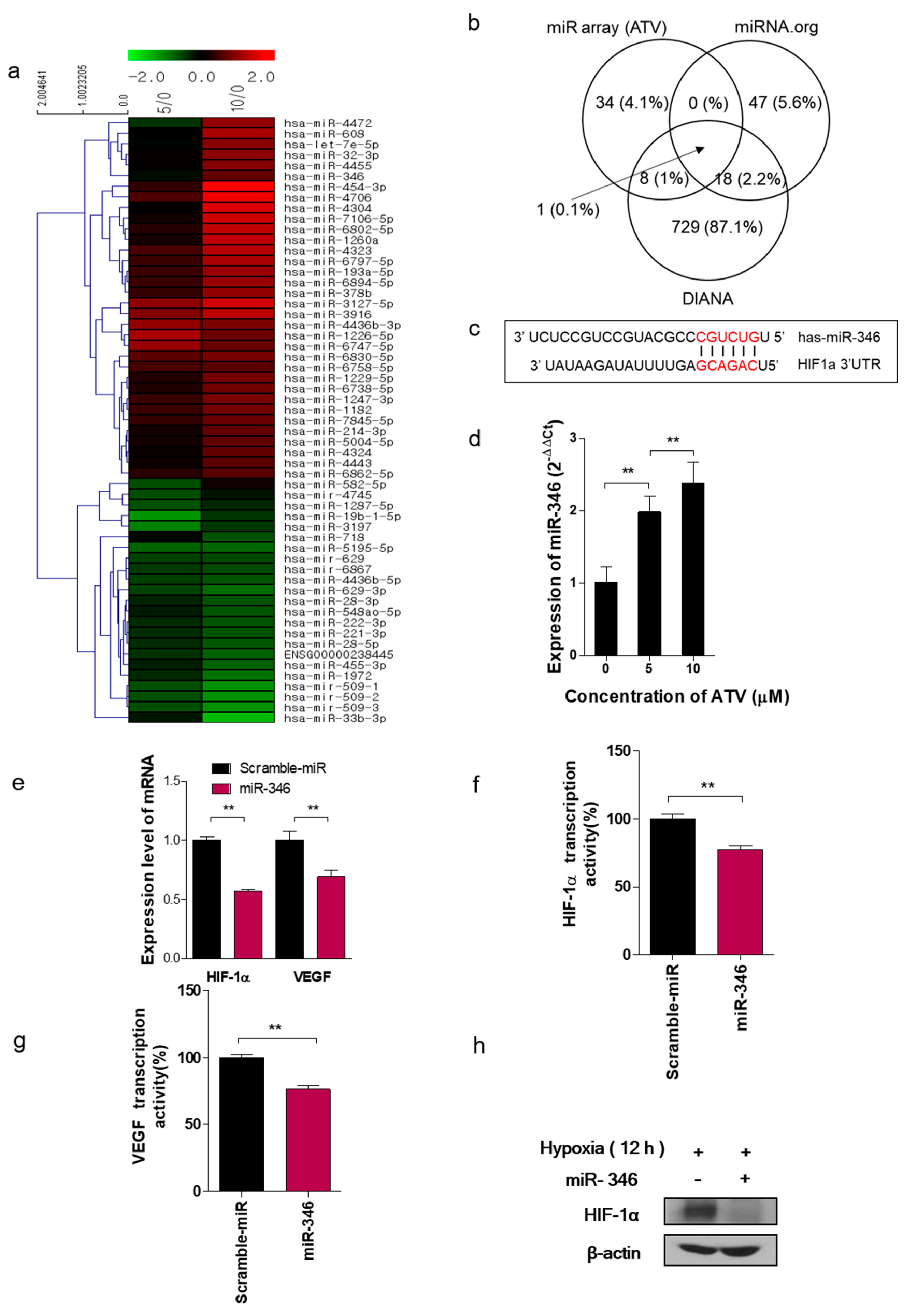 Cancers 12 01203 g004