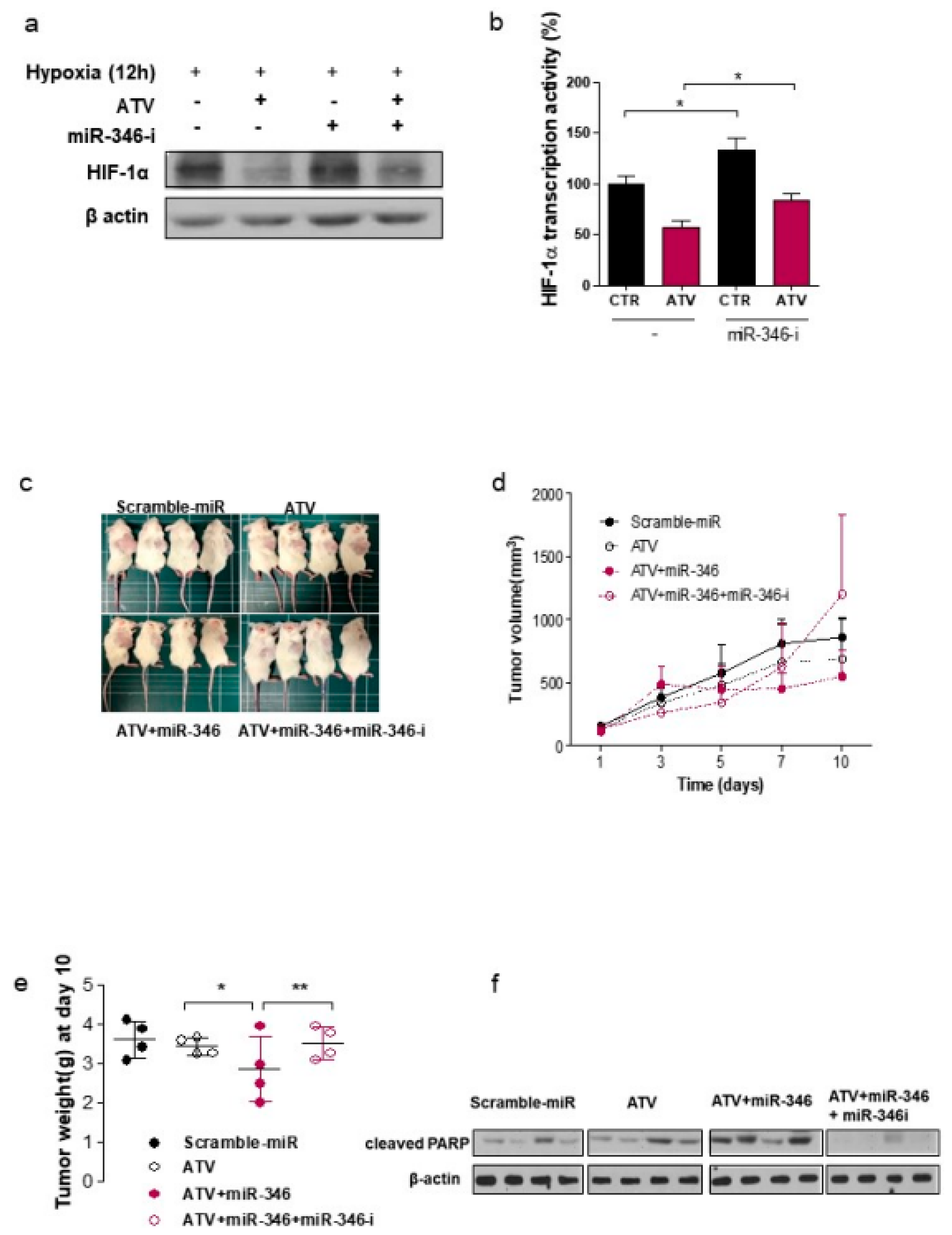 Cancers 12 01203 g005a