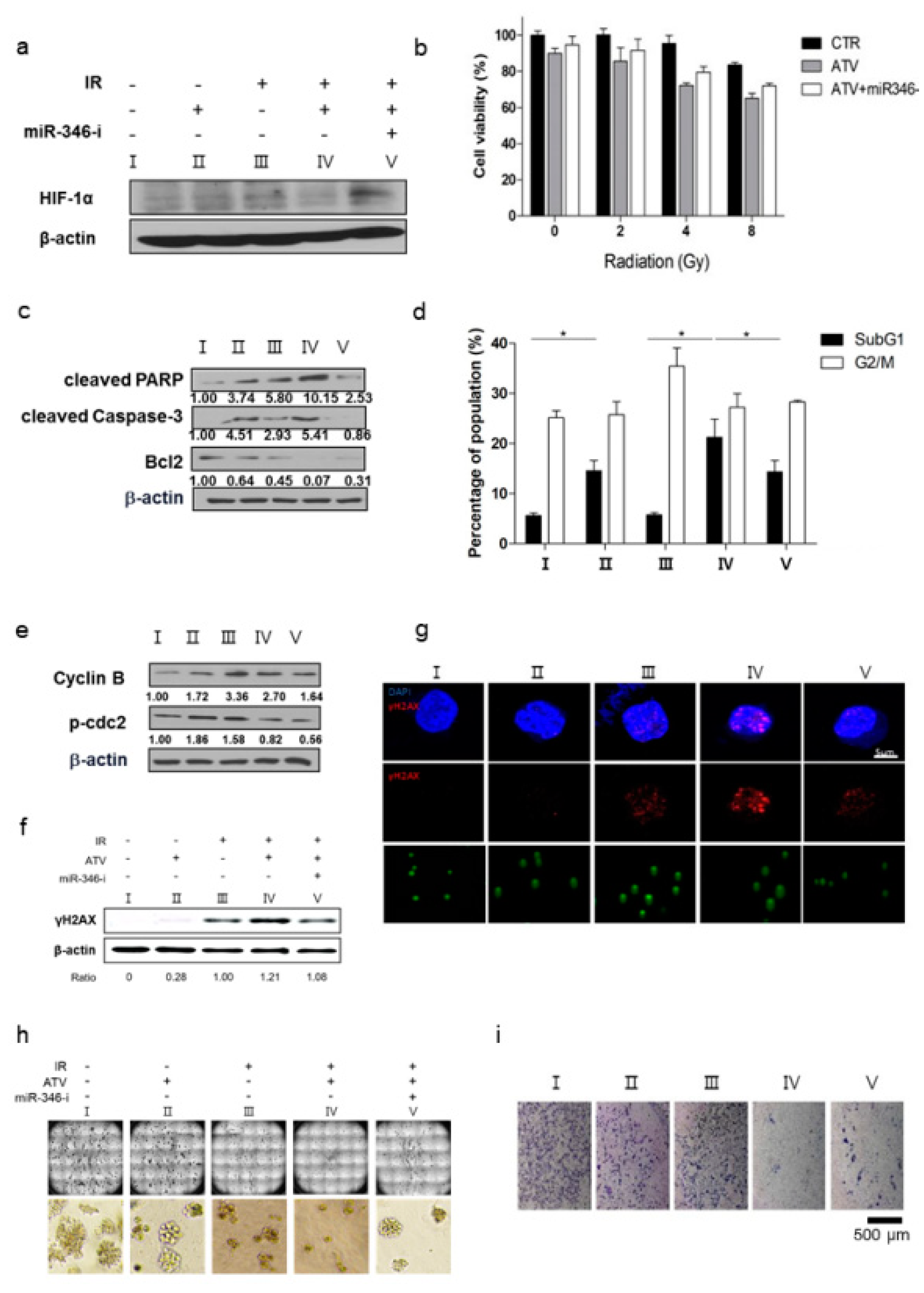 Cancers 12 01203 g006