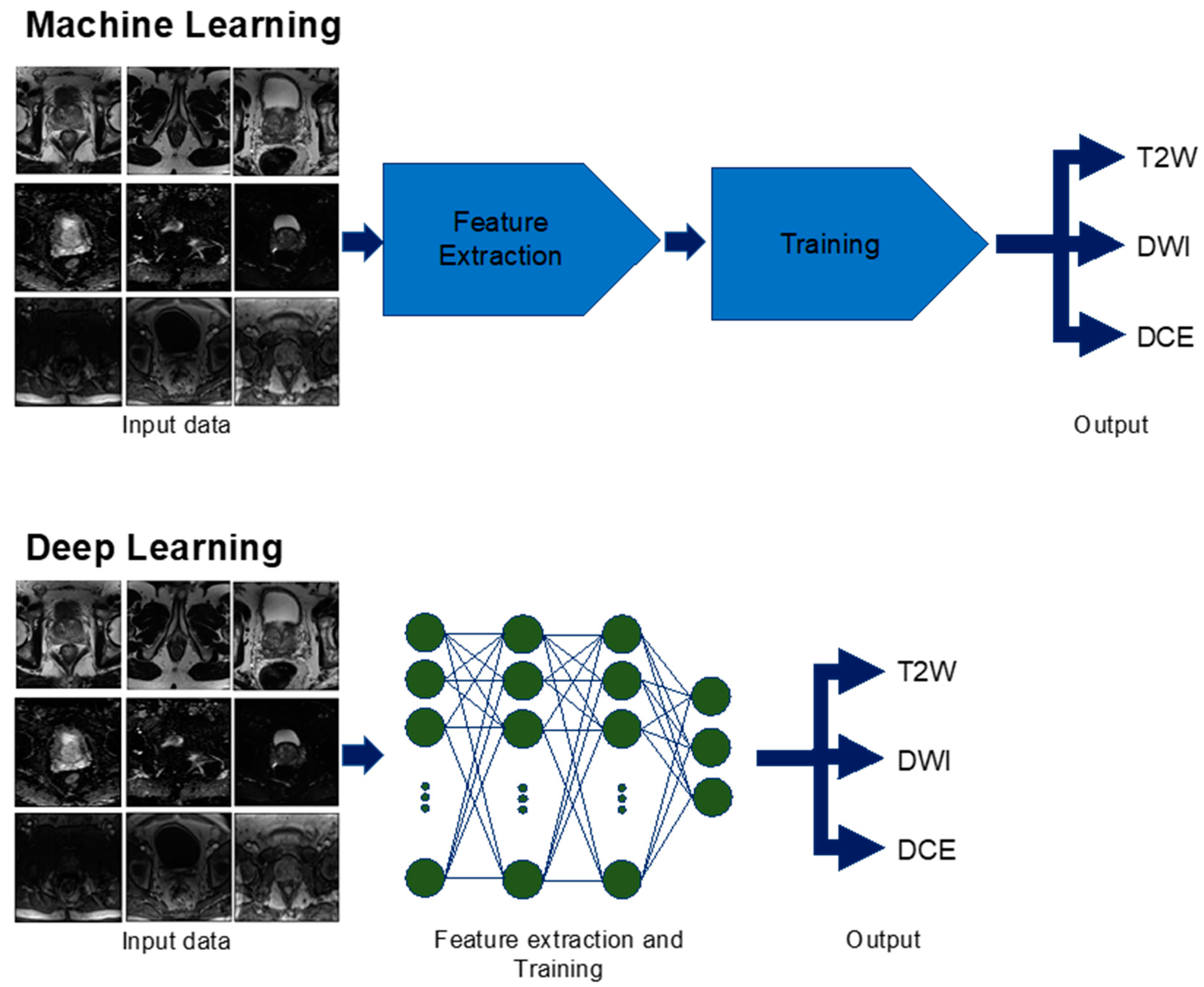 Cancers 12 01204 g002 Cancers 12 01204 g002