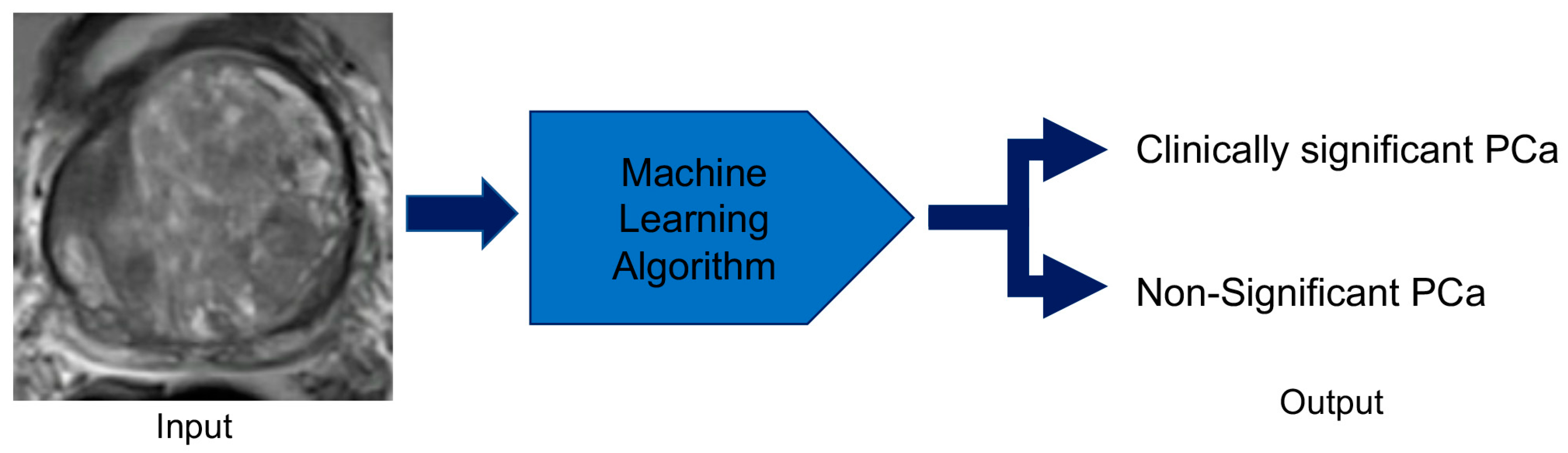 Cancers 12 01204 g006 Cancers 12 01204 g006