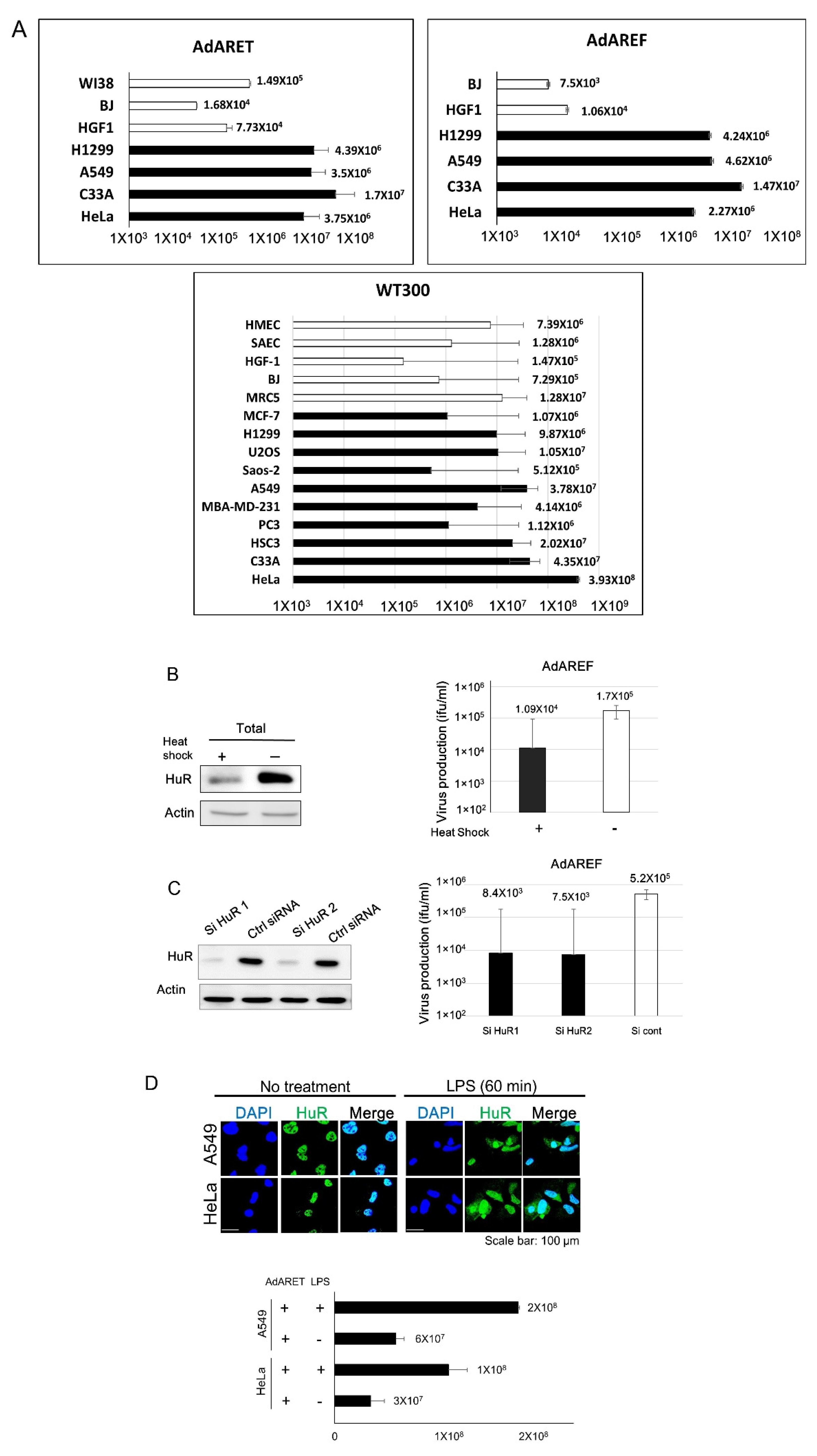 Cancers 12 01205 g002 Cancers 12 01205 g002