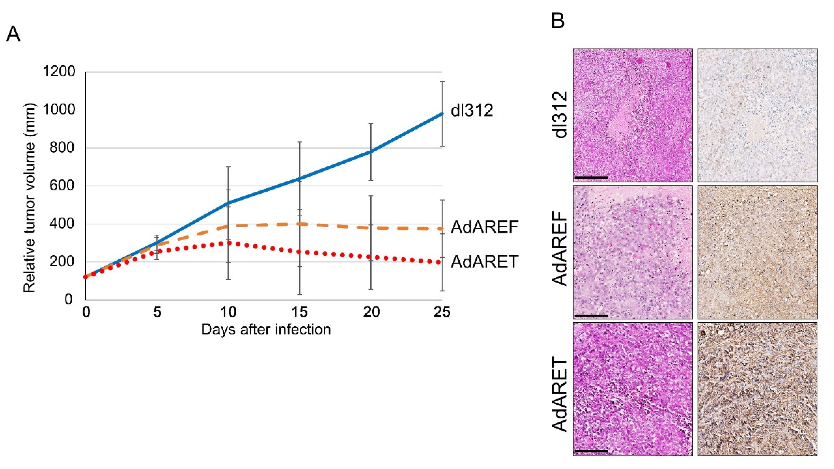 Cancers 12 01205 g004 Cancers 12 01205 g004