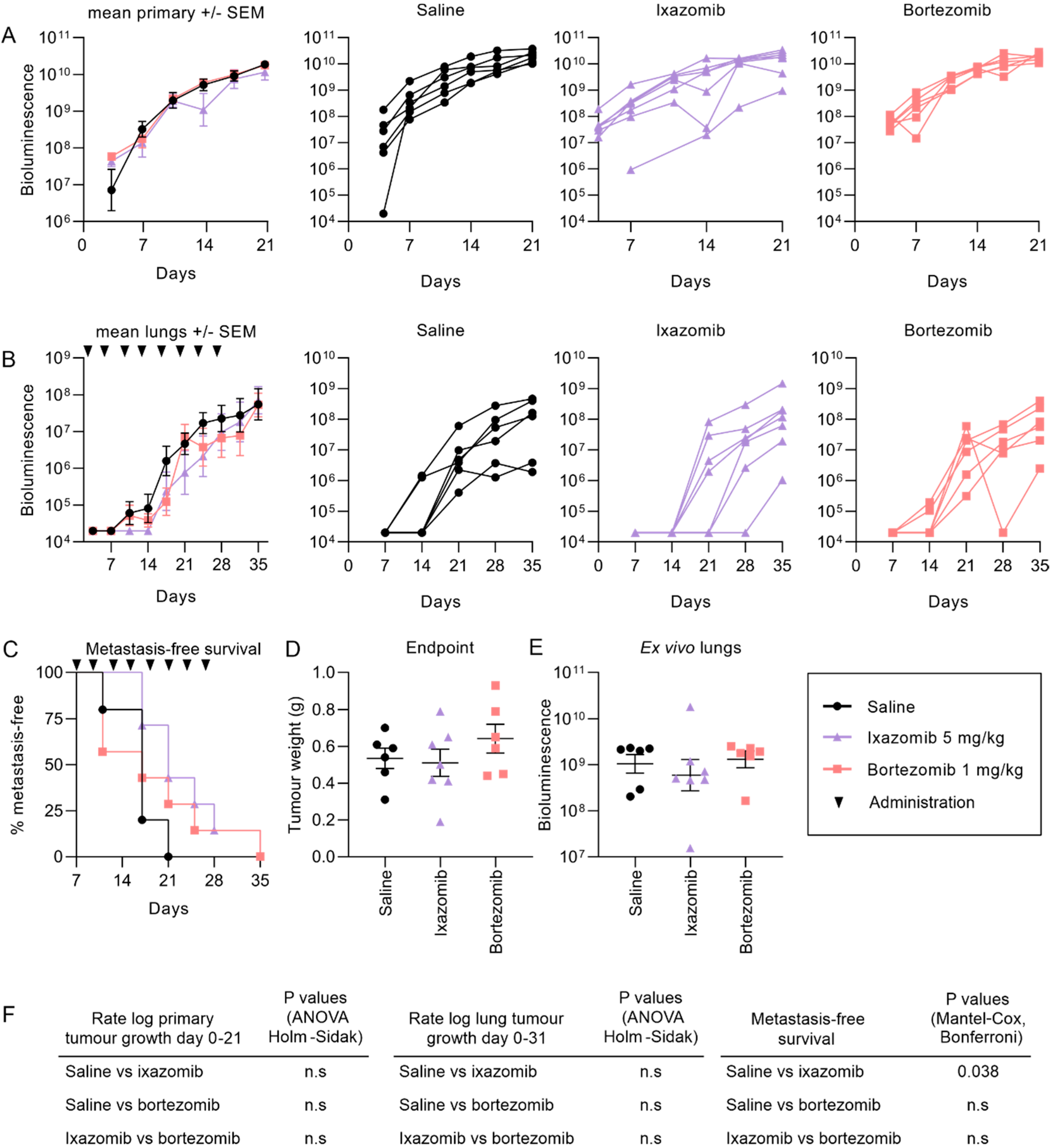 Cancers 12 01207 g002 Cancers 12 01207 g002
