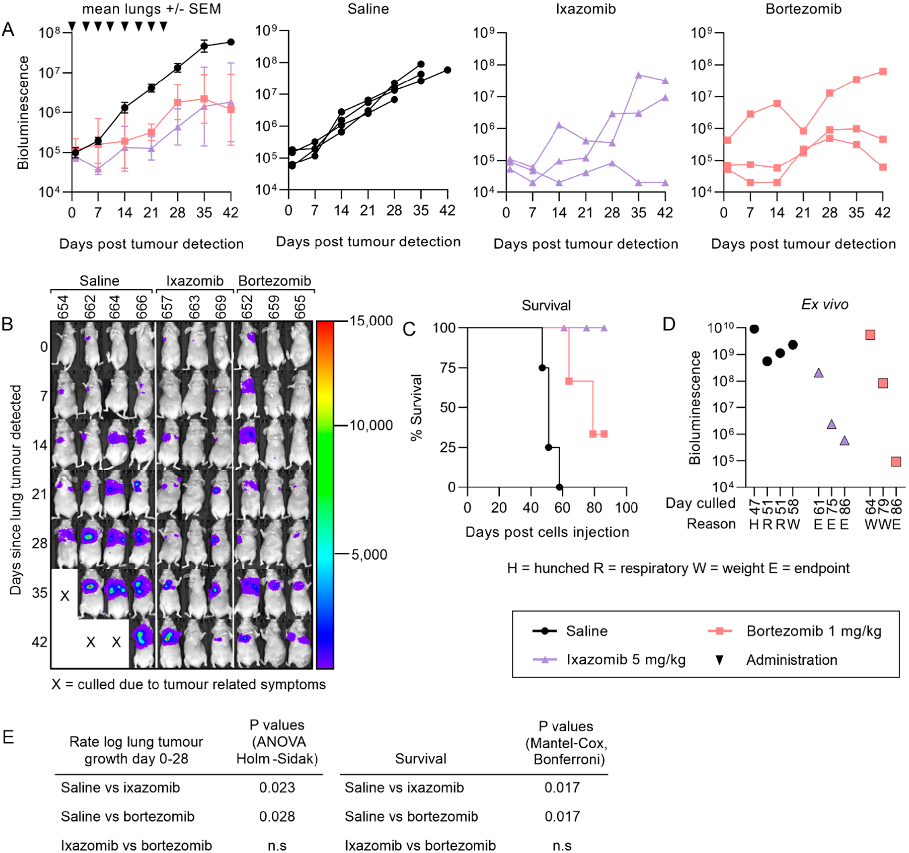 Cancers 12 01207 g003 Cancers 12 01207 g003