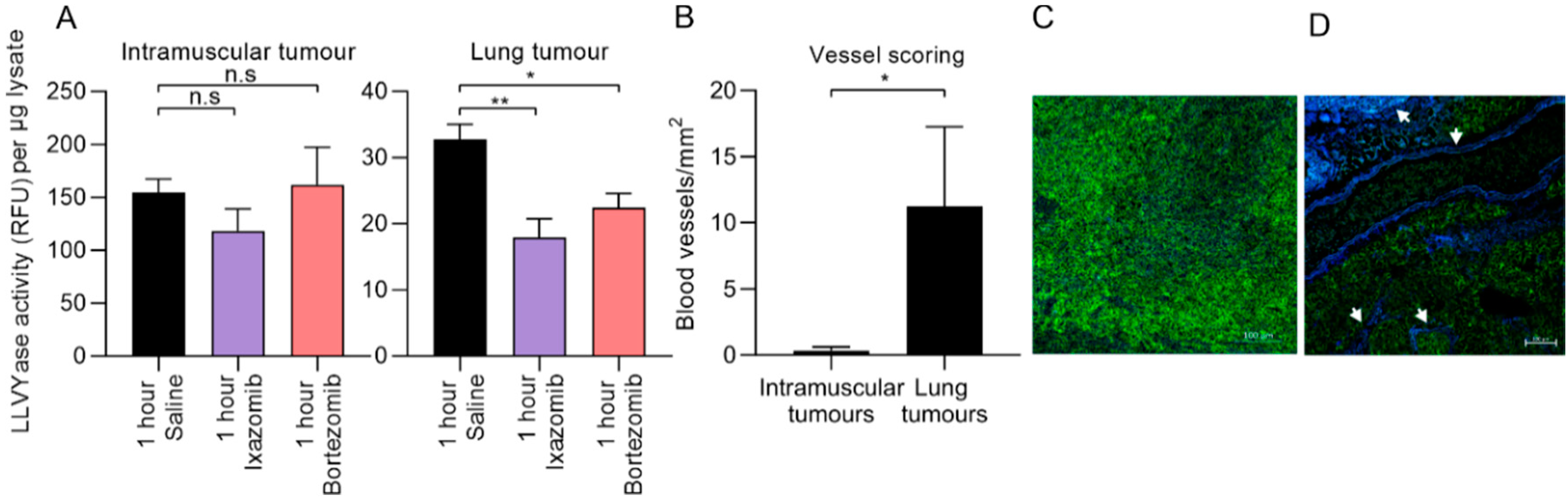 Cancers 12 01207 g004 Cancers 12 01207 g004