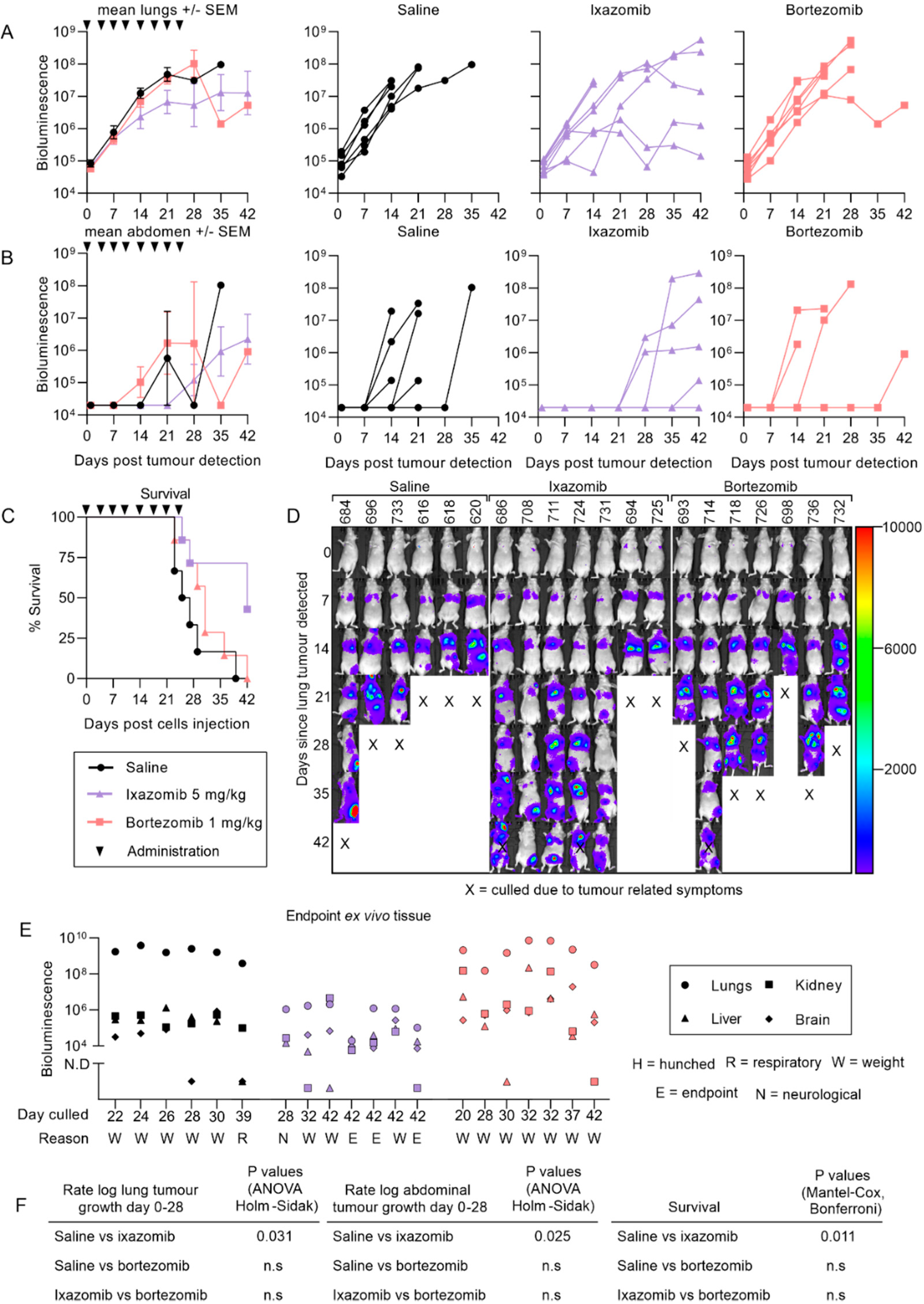 Cancers 12 01207 g005 Cancers 12 01207 g005