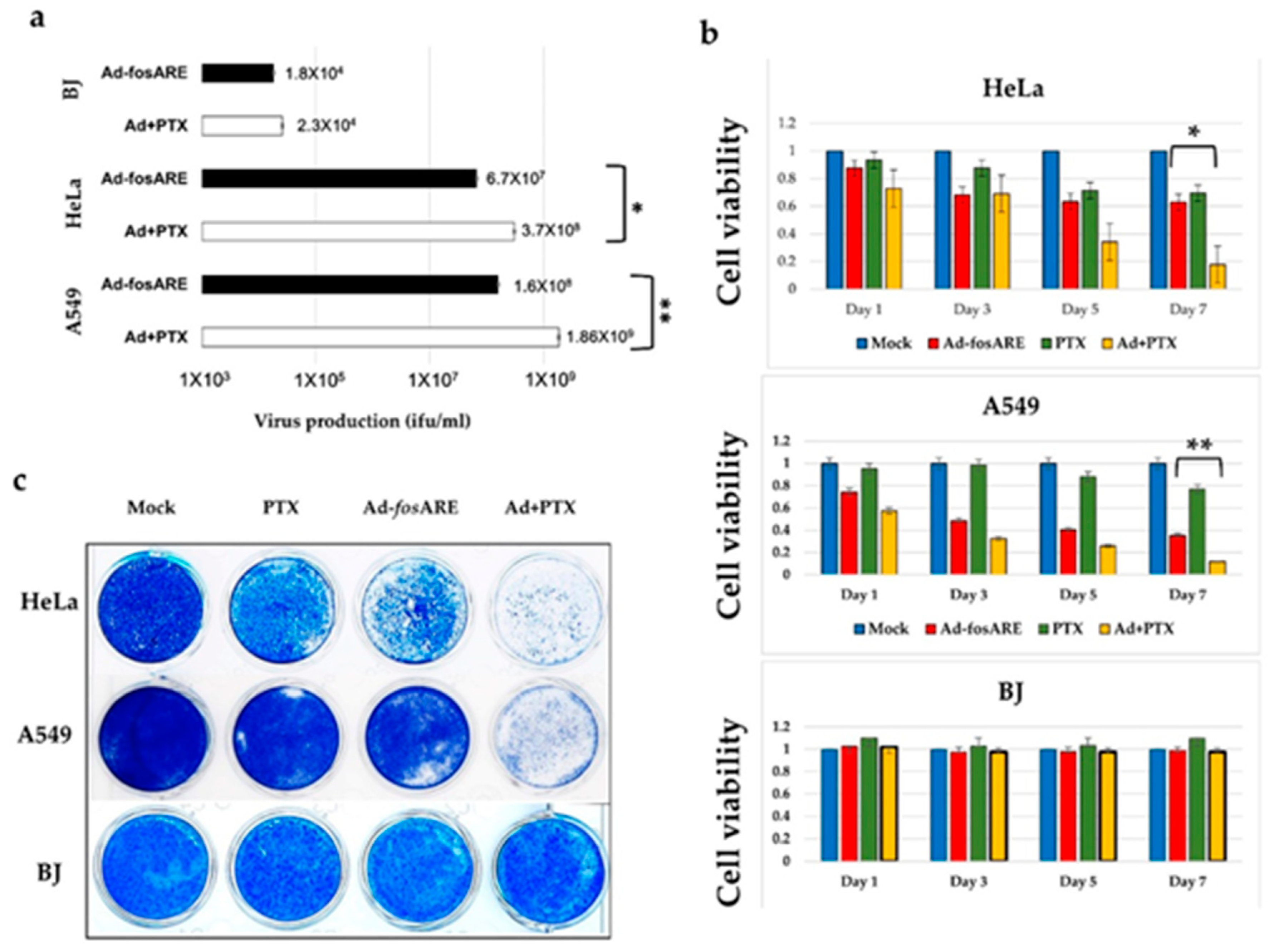 Cancers 12 01210 g006 Cancers 12 01210 g006