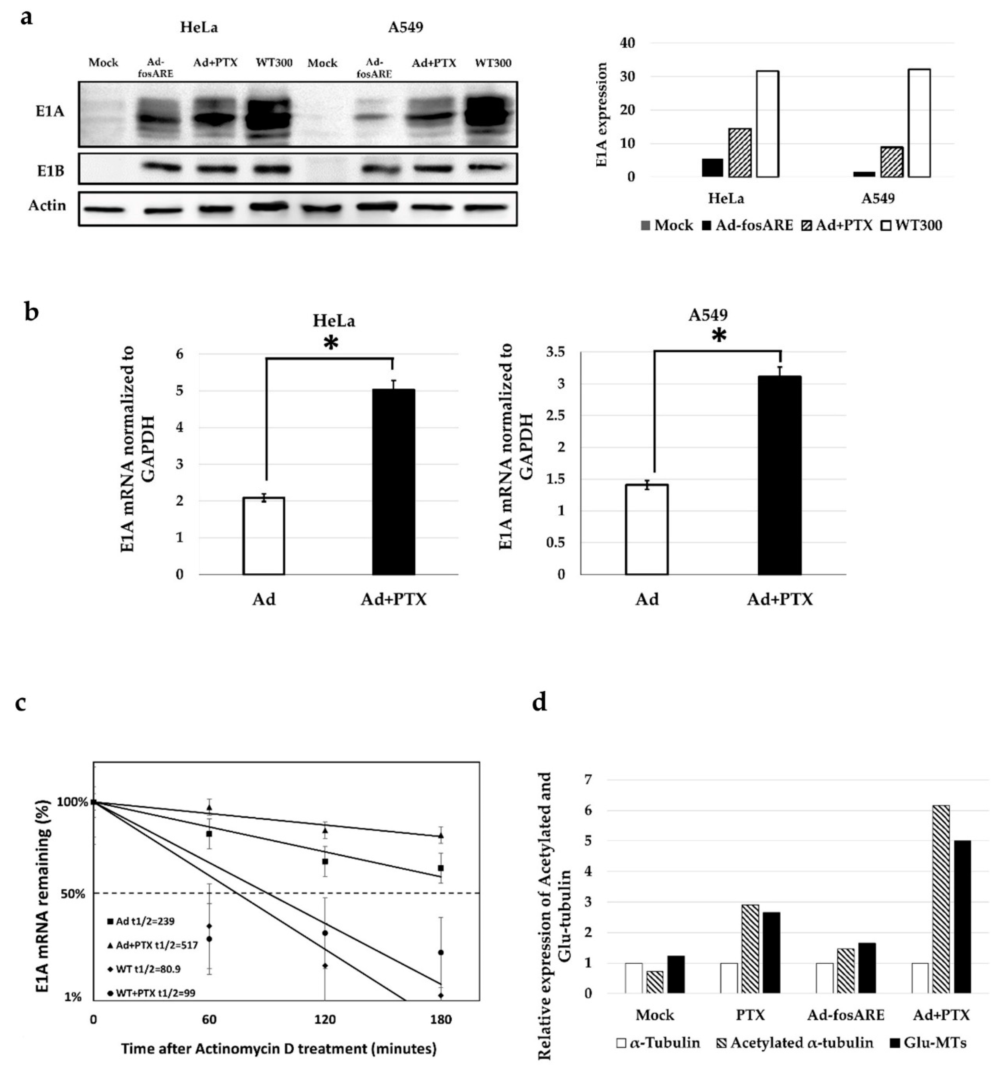 Cancers 12 01210 g007 Cancers 12 01210 g007